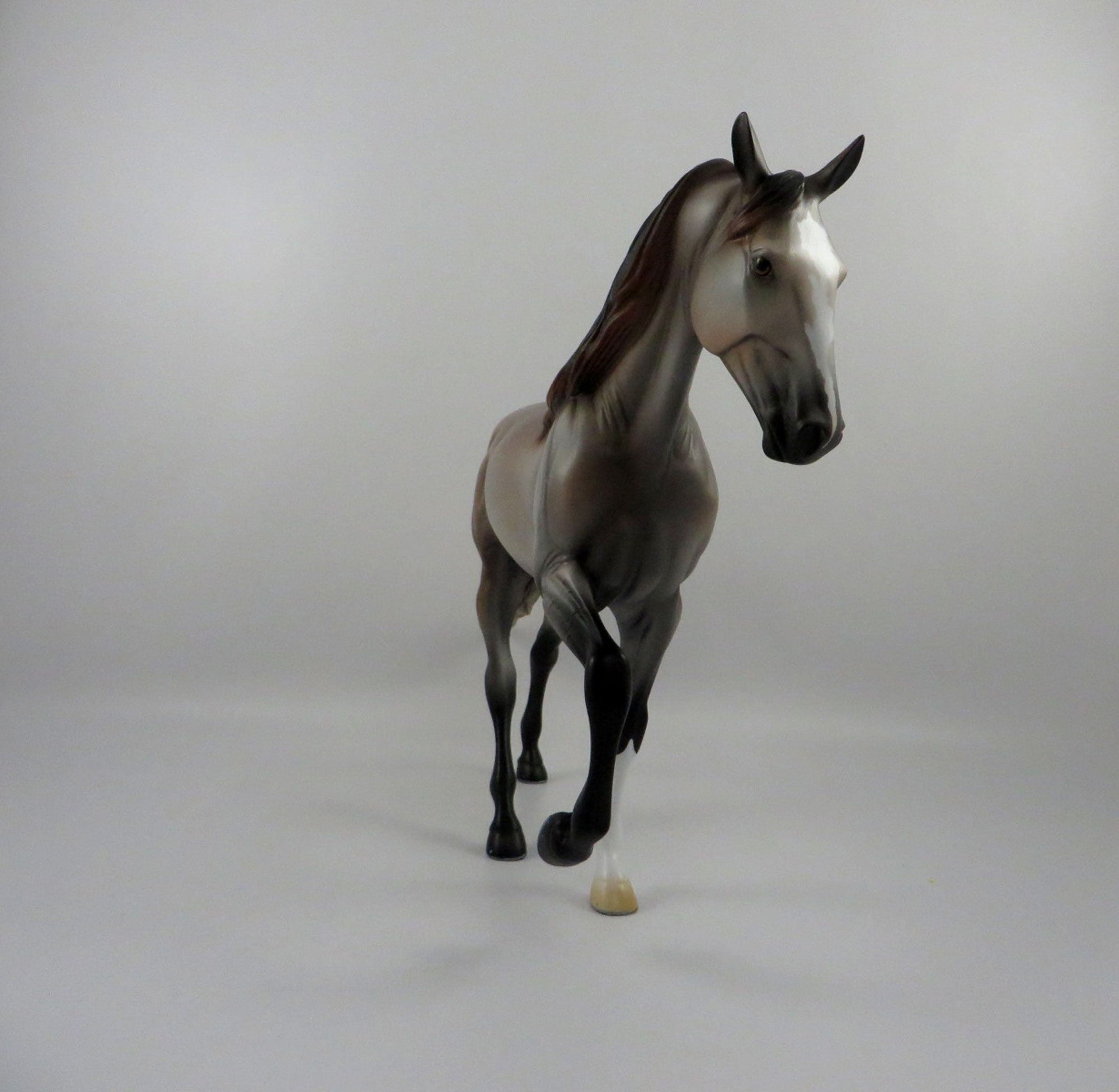 Embarr-OOAK Bay Roan Tennessee Walker 2/26/21