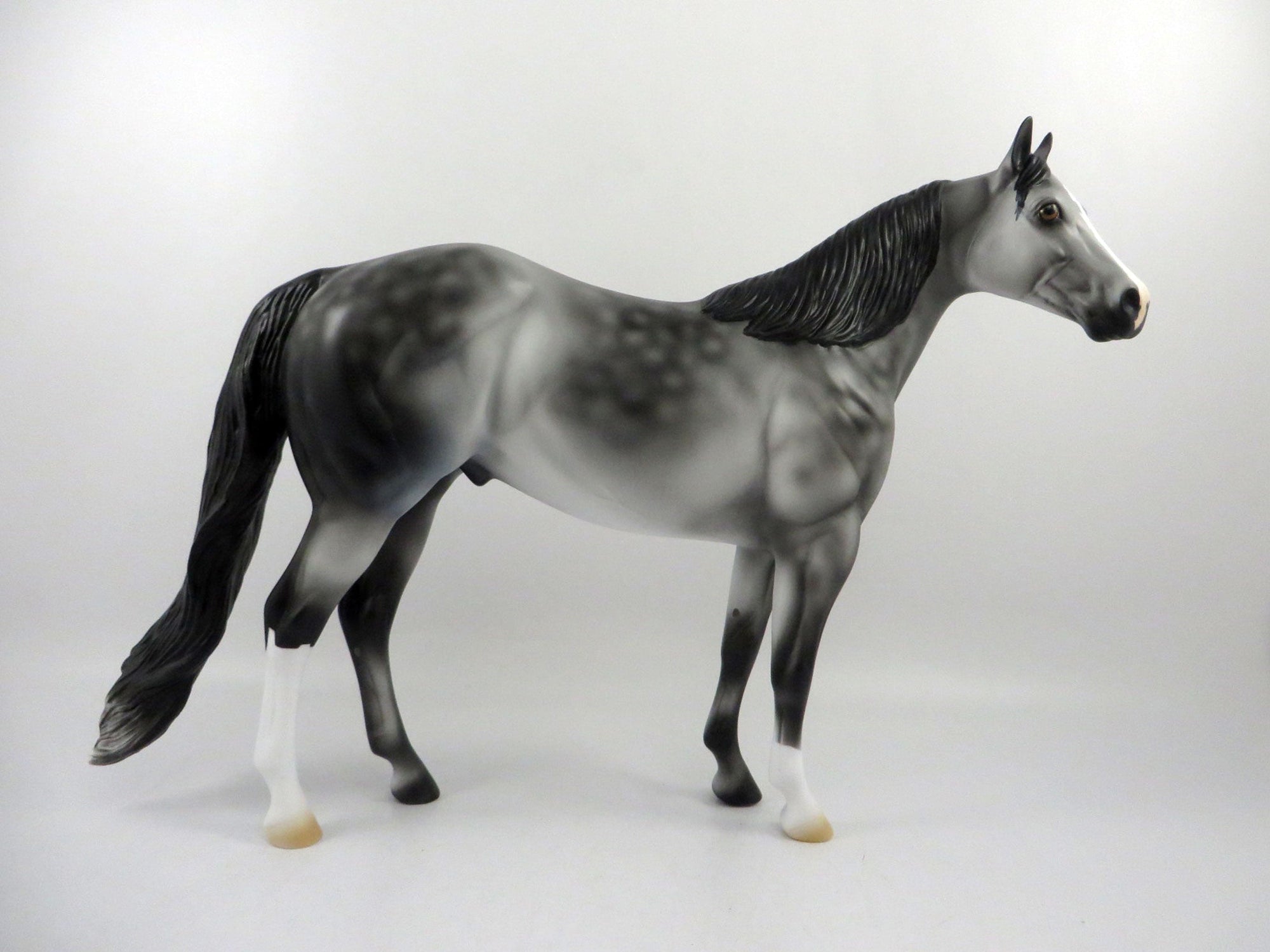 Emerald Isle-OOAK Dapple Grey ISH 2/24/21