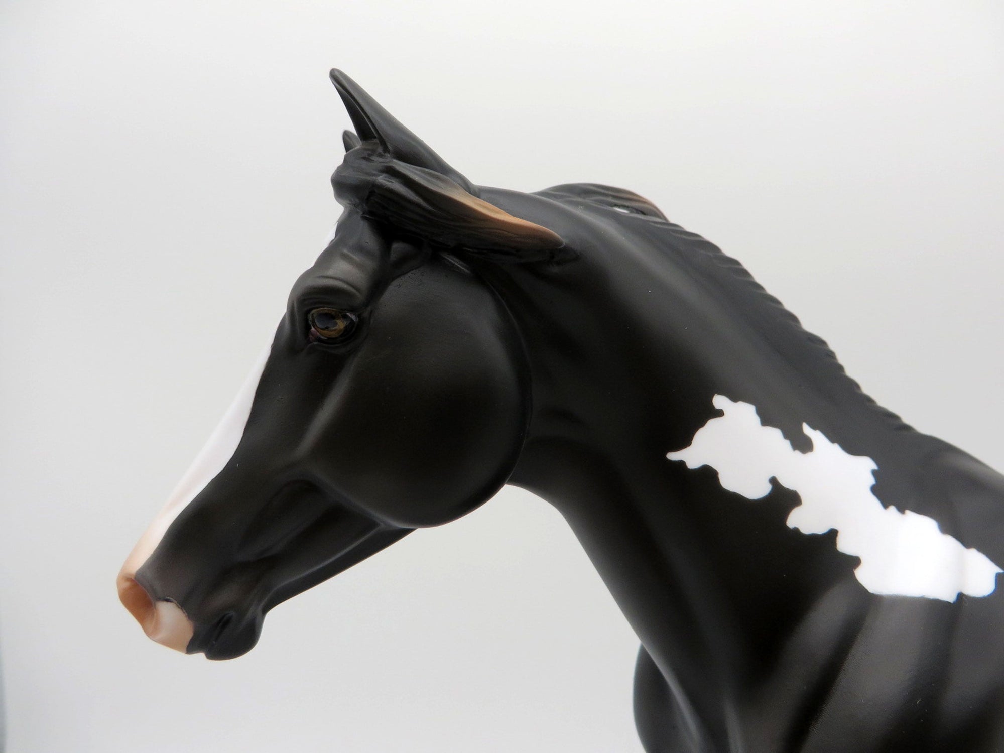Emerson-OOAK Sunbrunt Black Pinto Foundation Quarter Horse Painted By Ellen Robbins EQ 2021