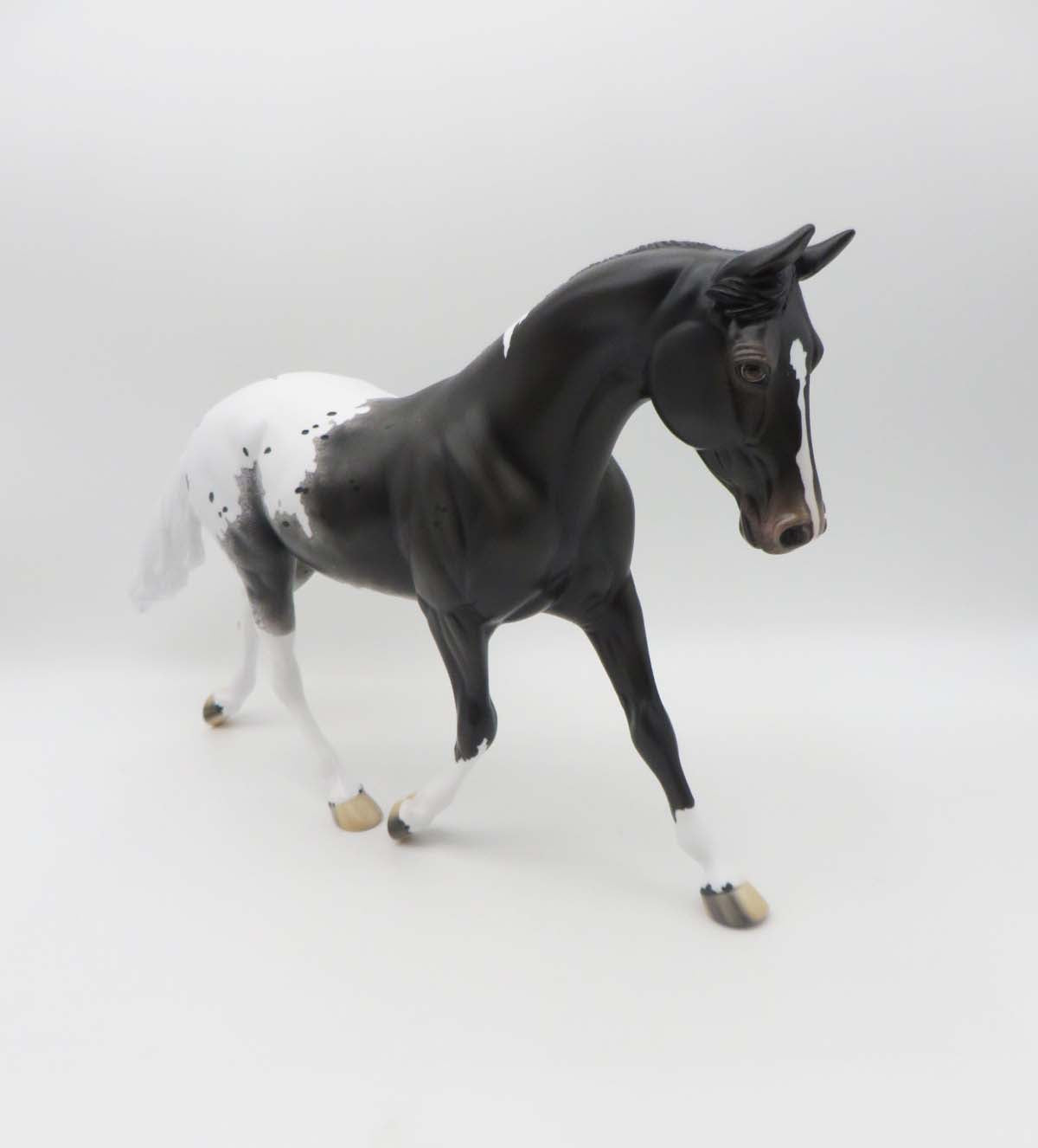 Enemies By Monday - OOAK - Black Pintaloosa Palouse By Ellen Robbins - SHCF23
