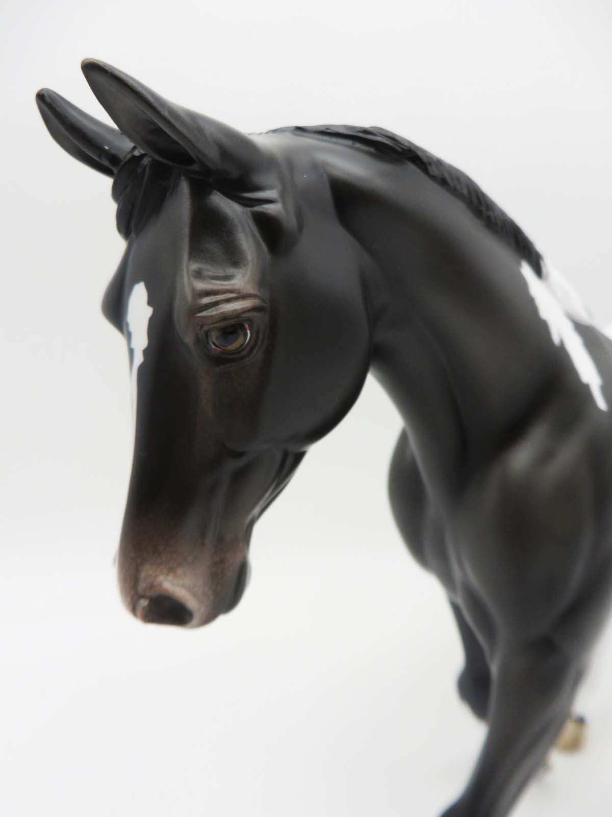 Enemies By Monday - OOAK - Black Pintaloosa Palouse By Ellen Robbins - SHCF23