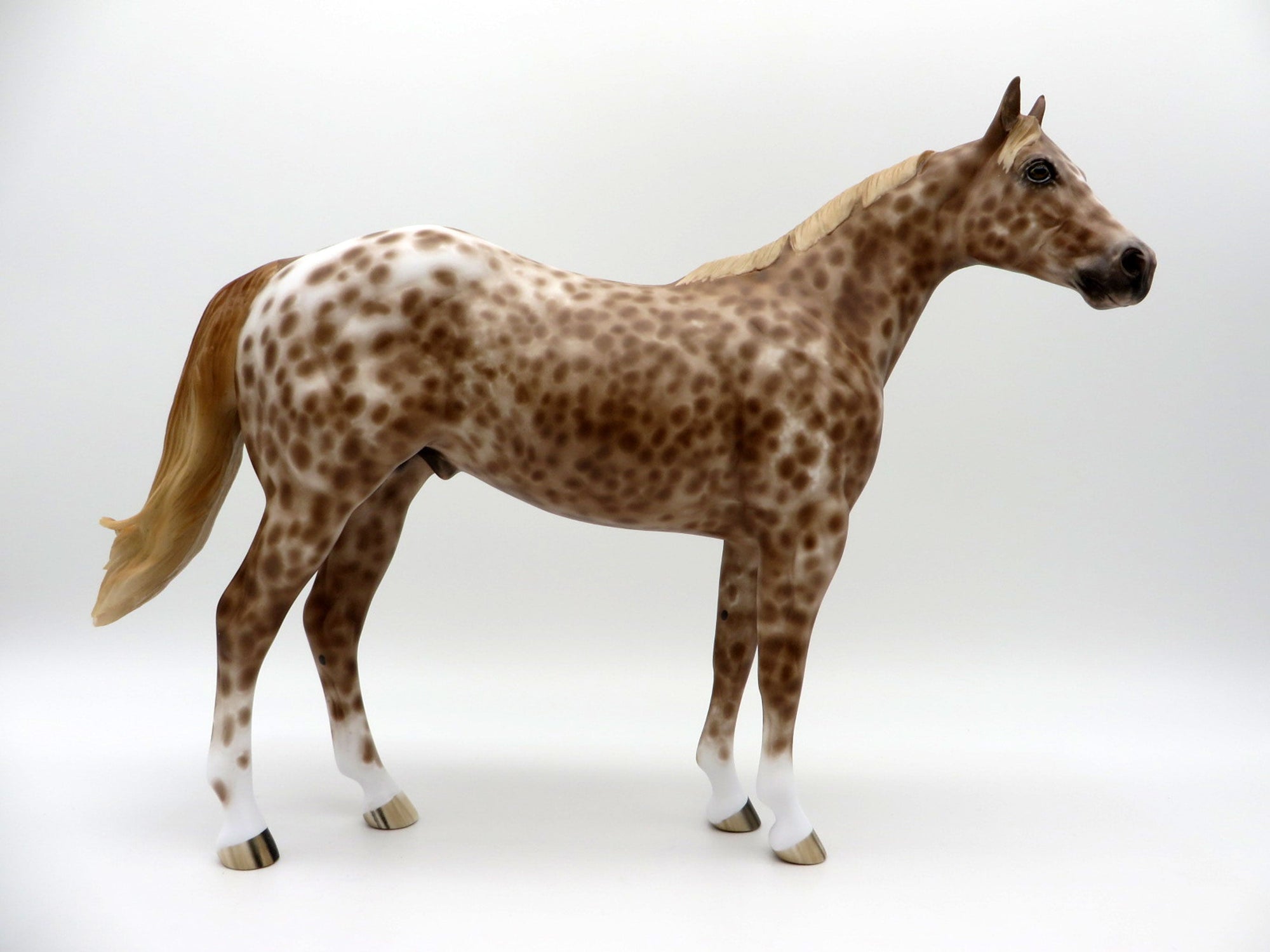 Enterprize-OOAK Loud Chestnut Appaloosa Painted By Caroline Boydston 5/10/21