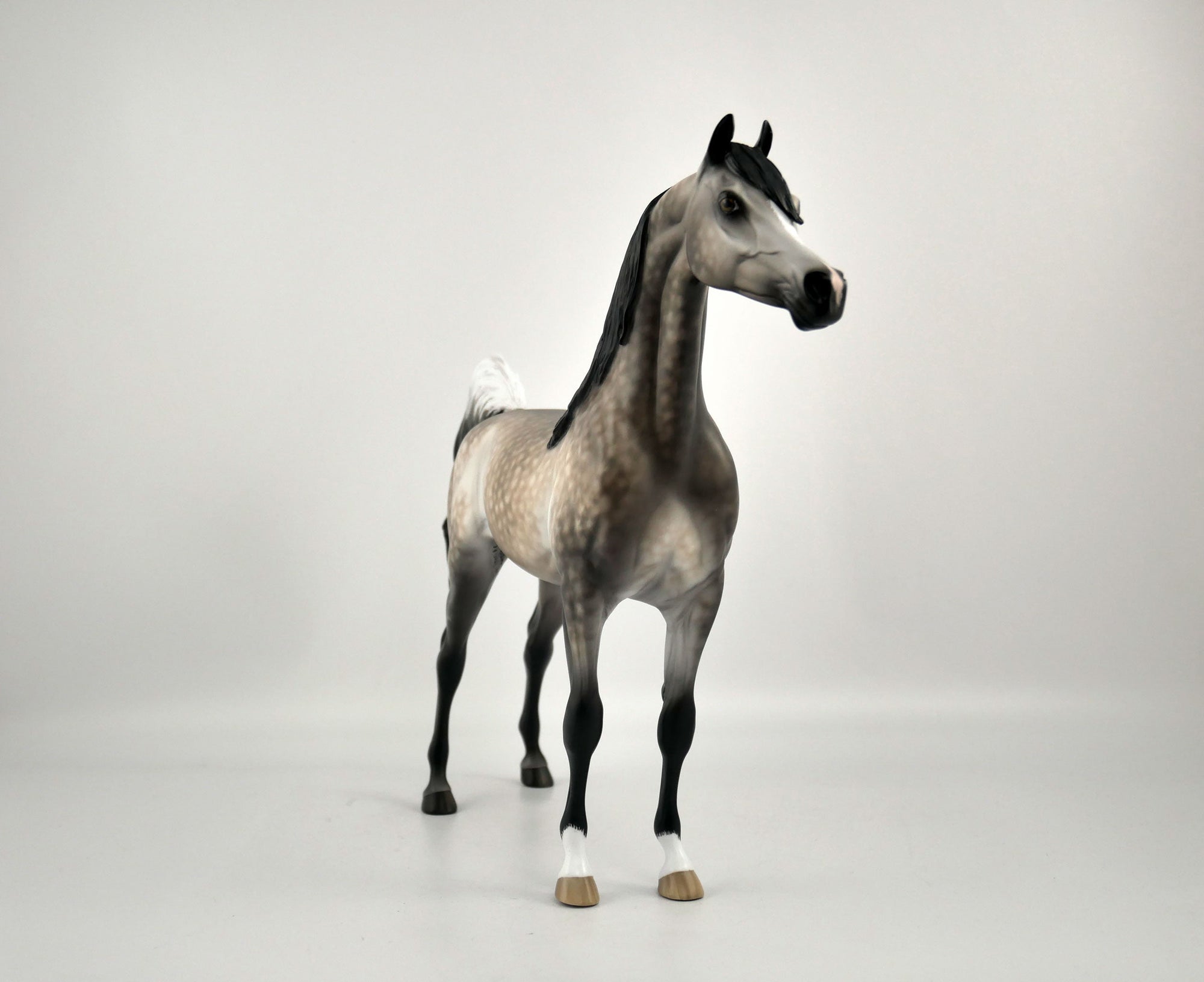 EOWEN -OOAK DAPPLE BAY GOING GREY ARABIAN BY SHERYL LEISURE 12/03/20