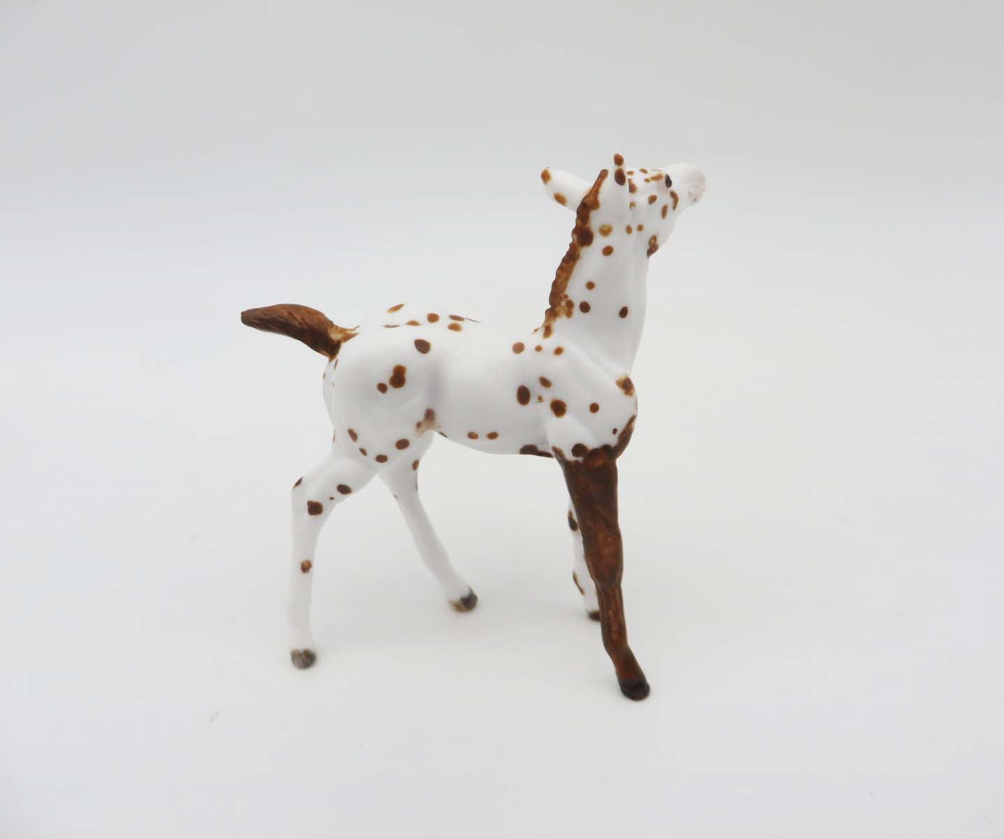 Eureka - OOAK - Appy Chip Foal By Andrea Thomason - SHCF23