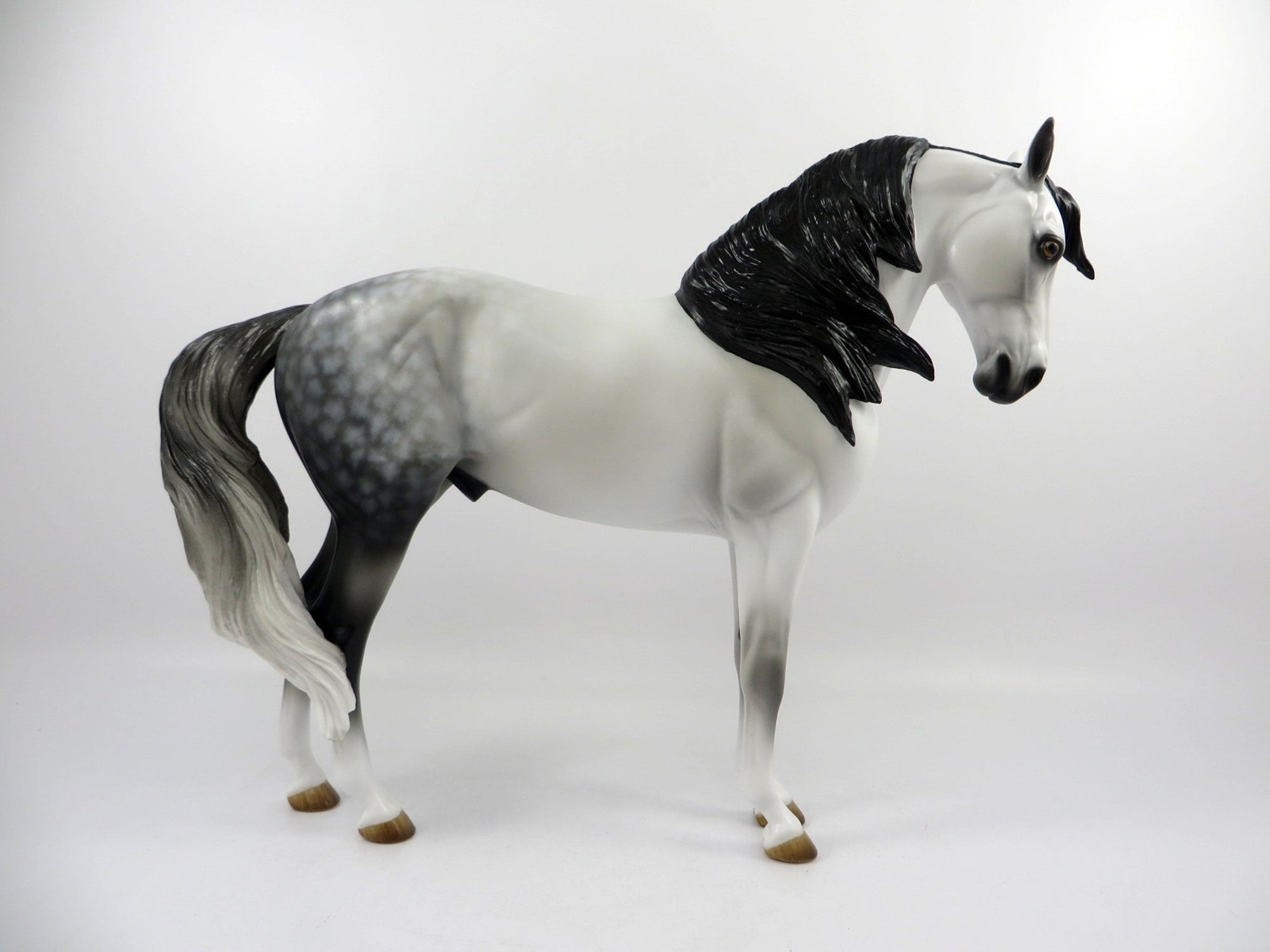Excursion-OOAK Dapple Grey Andalusian Painted By Audrey Dixon 3/12/21