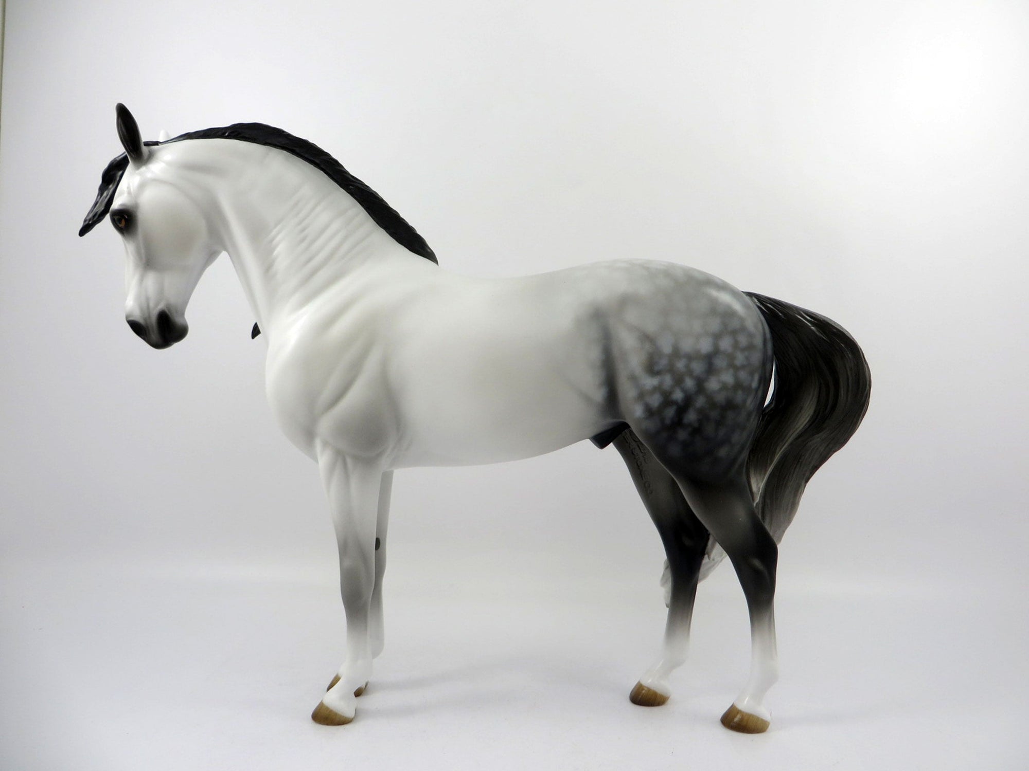 Excursion-OOAK Dapple Grey Andalusian Painted By Audrey Dixon 3/12/21