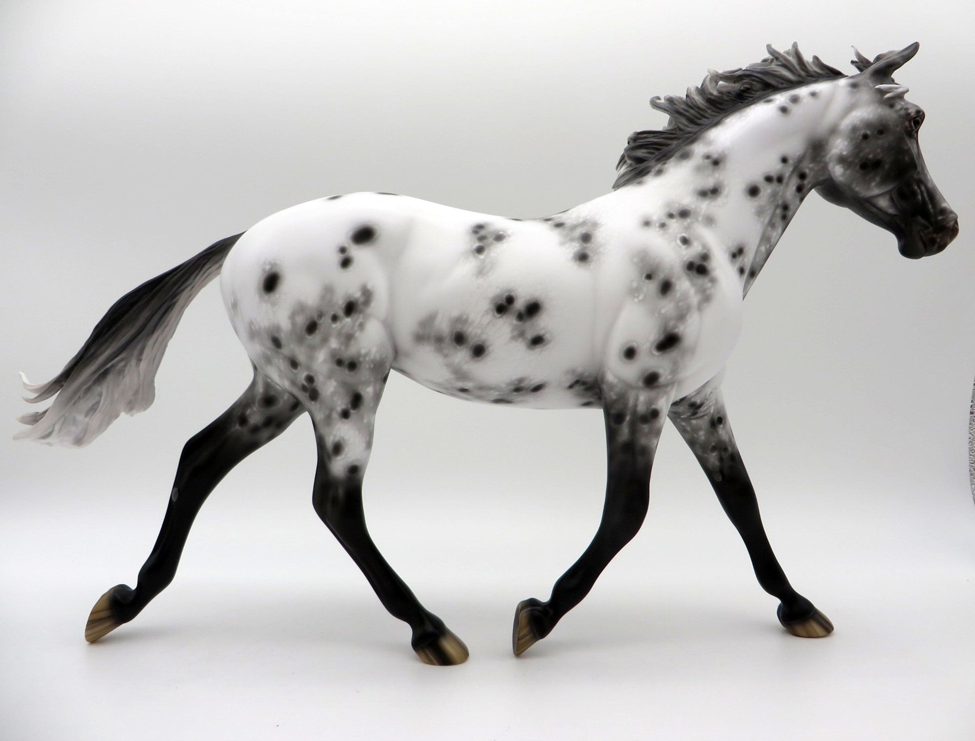 Extra Sprinkles-OOAK Loud Appaloosa Palouse Painted By Sheryl Leisure 6/14/21