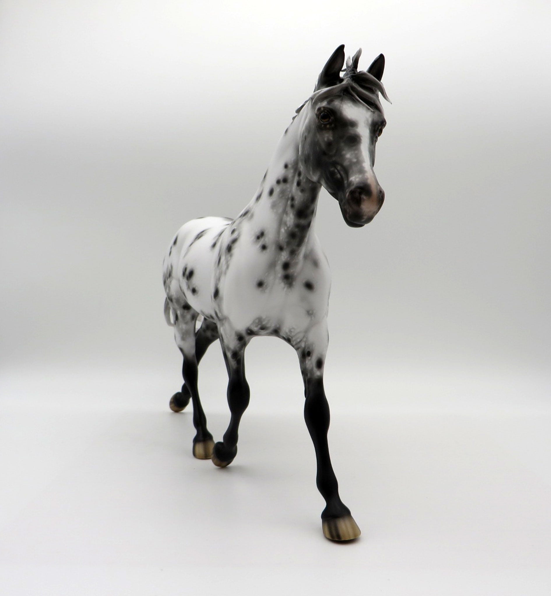 Extra Sprinkles-OOAK Loud Appaloosa Palouse Painted By Sheryl Leisure 6/14/21
