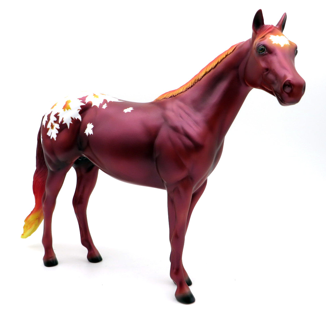 Fall Leaves Appaloosa - DAH Special