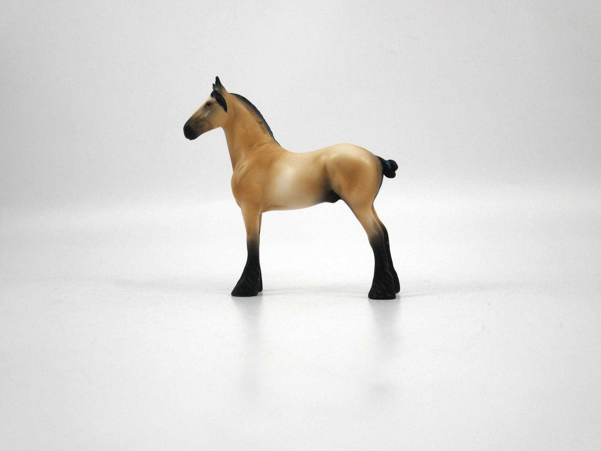 Fane-OOAK Buckskin Draft Chip 1/27/21