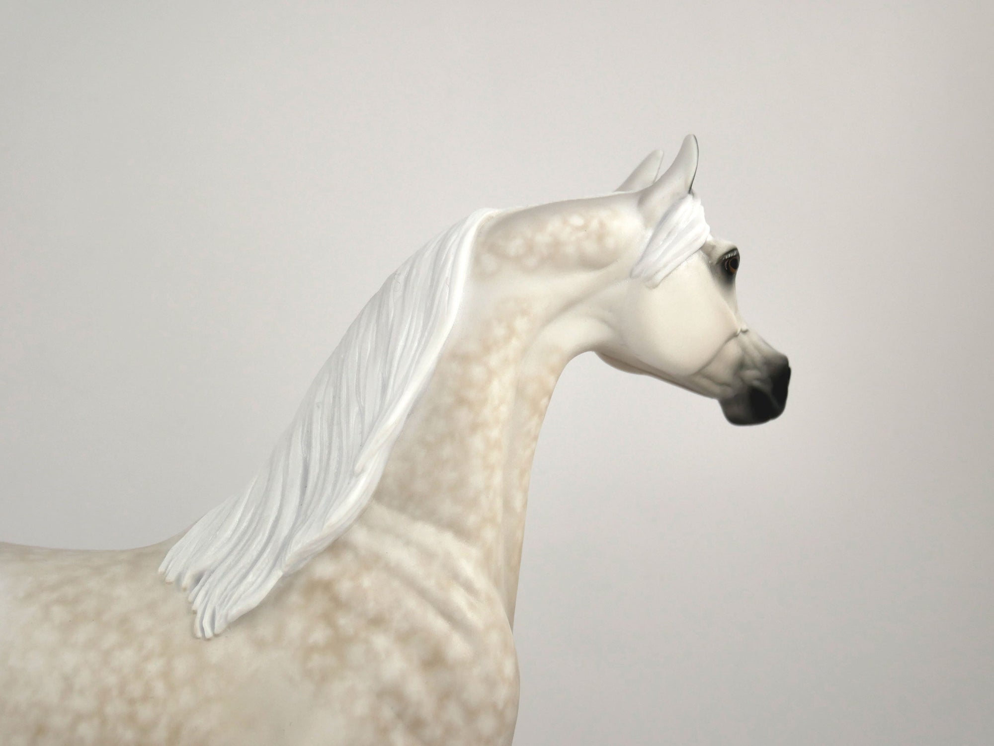 FAULKNER-OOAK LIGHT GREY DAPPLE WITH CUSTOM TAIL BY SHERYL LEISURE 11/11/20