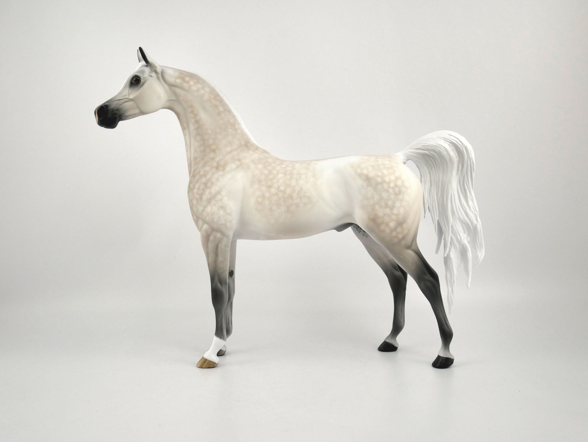 FAULKNER-OOAK LIGHT GREY DAPPLE WITH CUSTOM TAIL BY SHERYL LEISURE 11/11/20