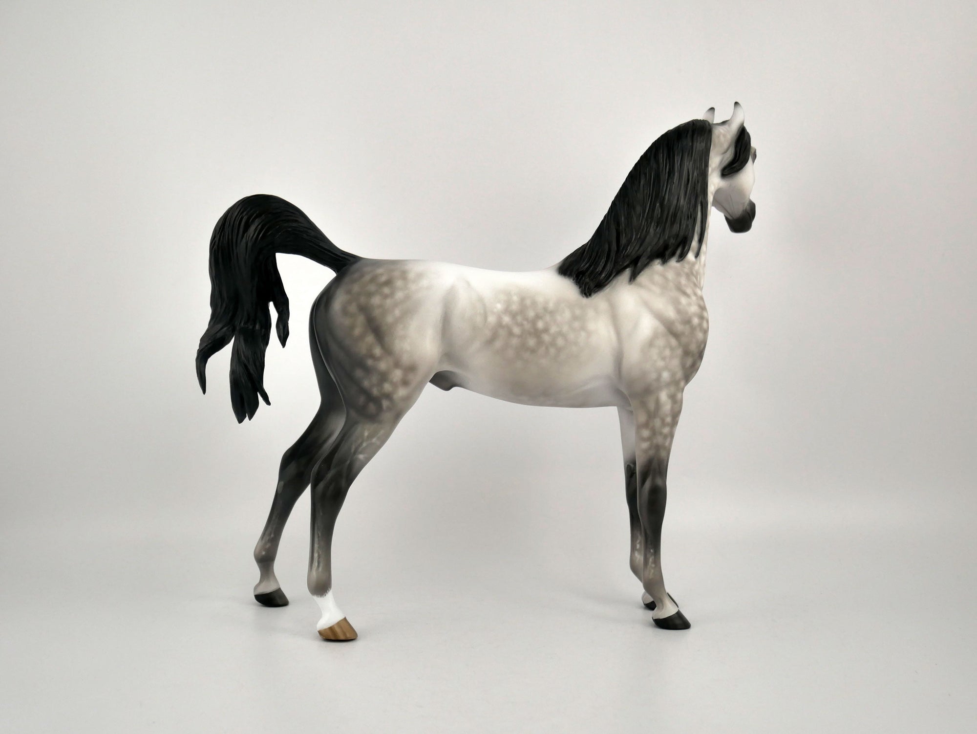 FEDERICO-OOAK DAPPLE GREY ARABIAN BY SHERYL LEISURE 11/11/20