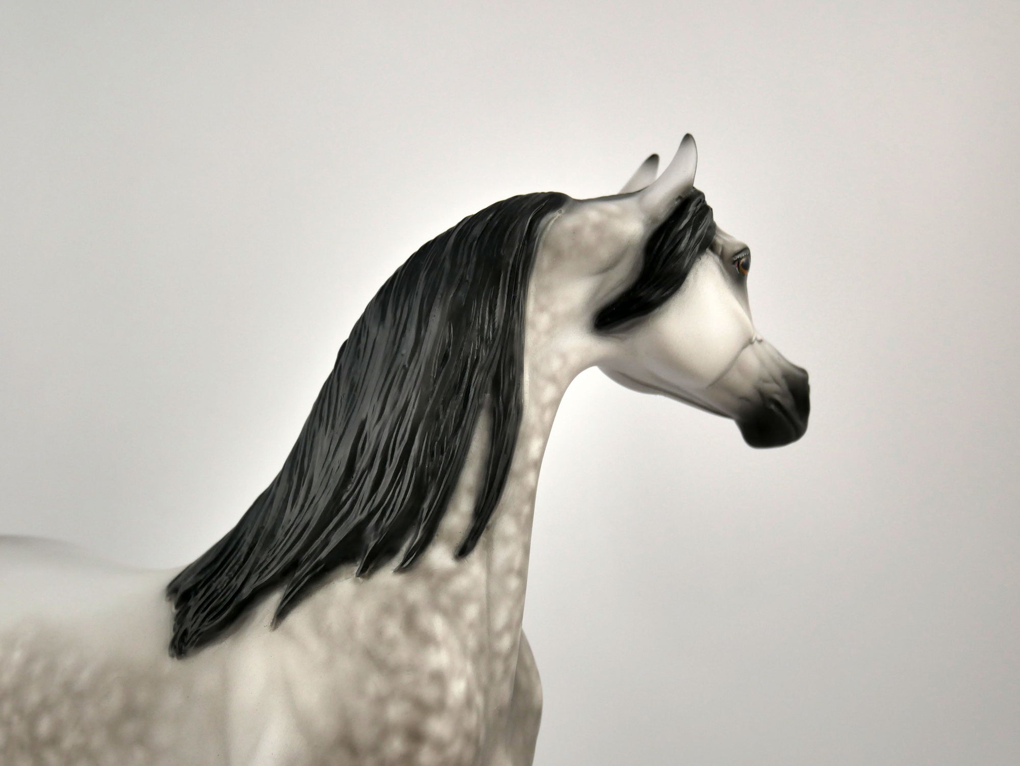 FEDERICO-OOAK DAPPLE GREY ARABIAN BY SHERYL LEISURE 11/11/20