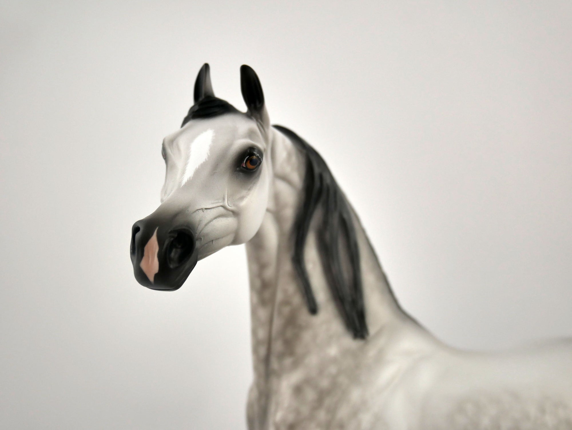 FEDERICO-OOAK DAPPLE GREY ARABIAN BY SHERYL LEISURE 11/11/20