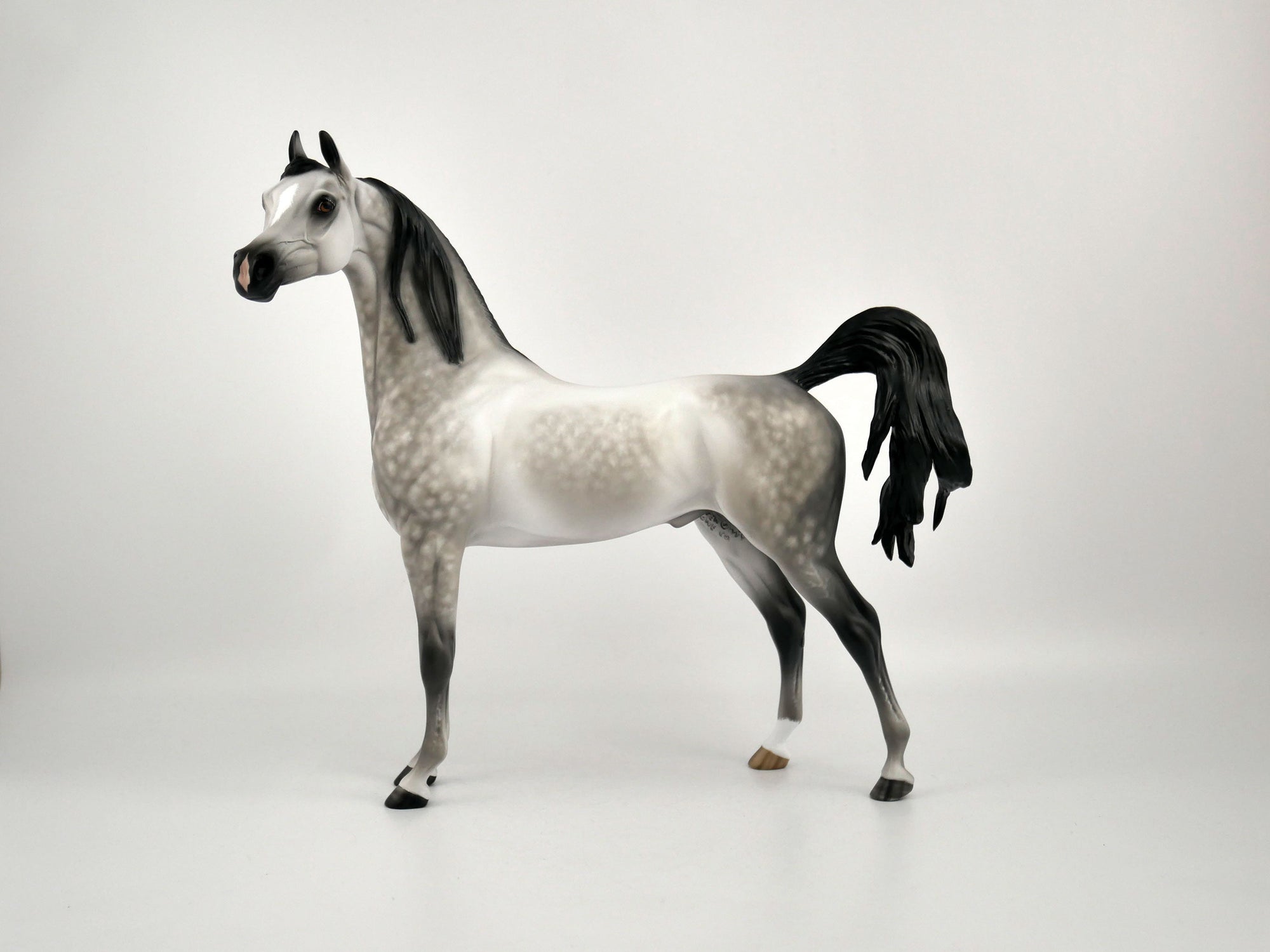 FEDERICO-OOAK DAPPLE GREY ARABIAN BY SHERYL LEISURE 11/11/20