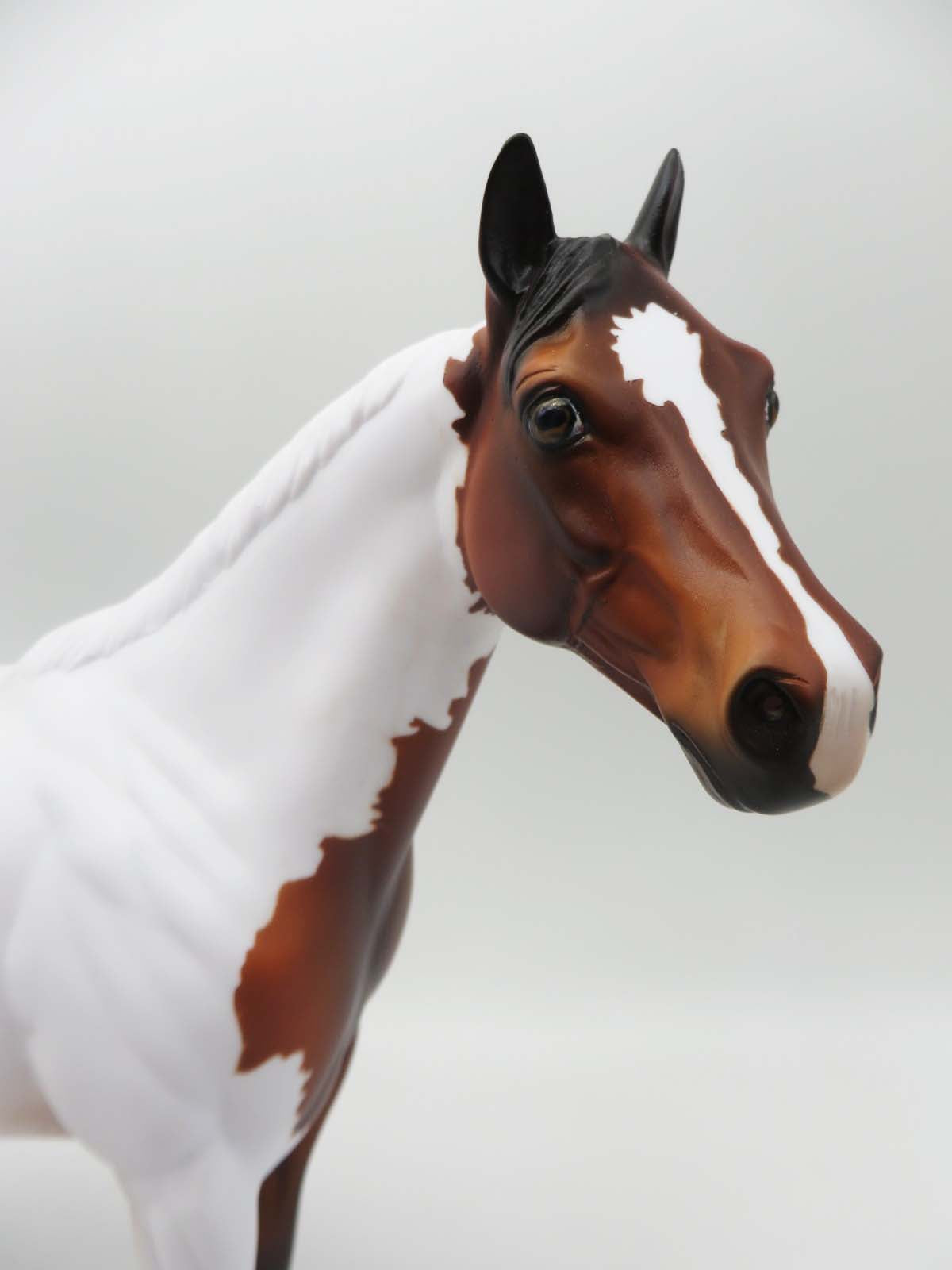 Fiddle Faddle OOAK Bay Tobiano Ideal Stock Horse By Dawn Quick SHCF23