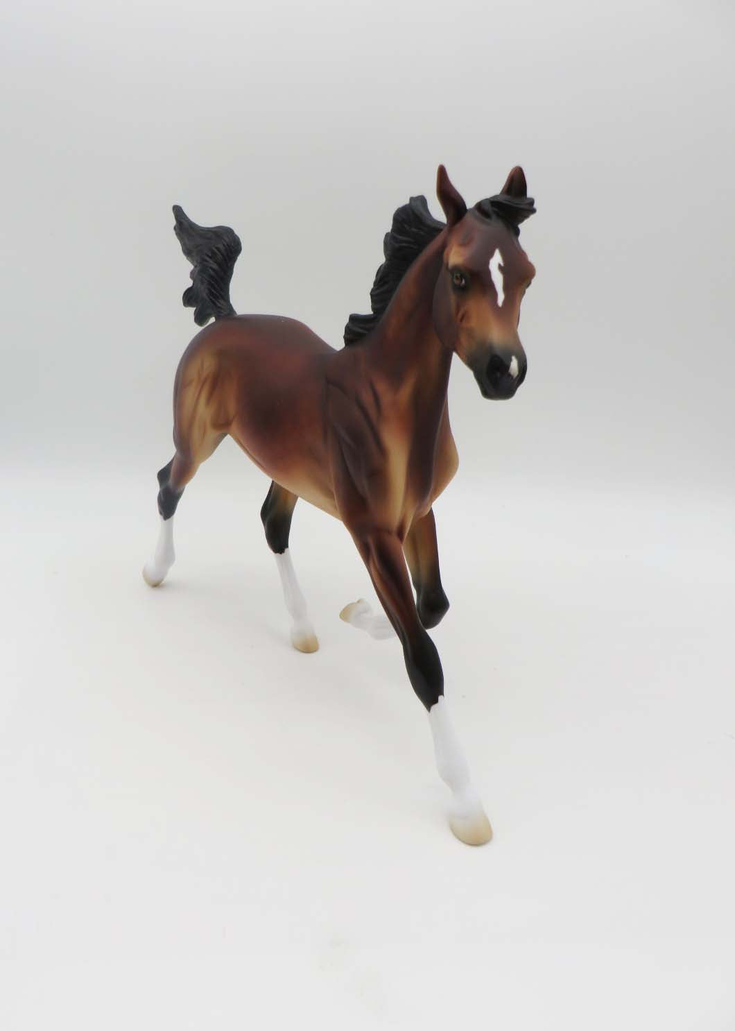 Fiddle Stix-LE-4 Dapple Bay Yearling By Kayla P&C 23