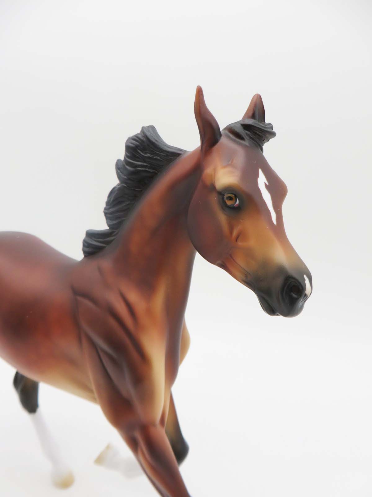 Fiddle Stix-LE-4 Dapple Bay Yearling By Kayla P&C 23