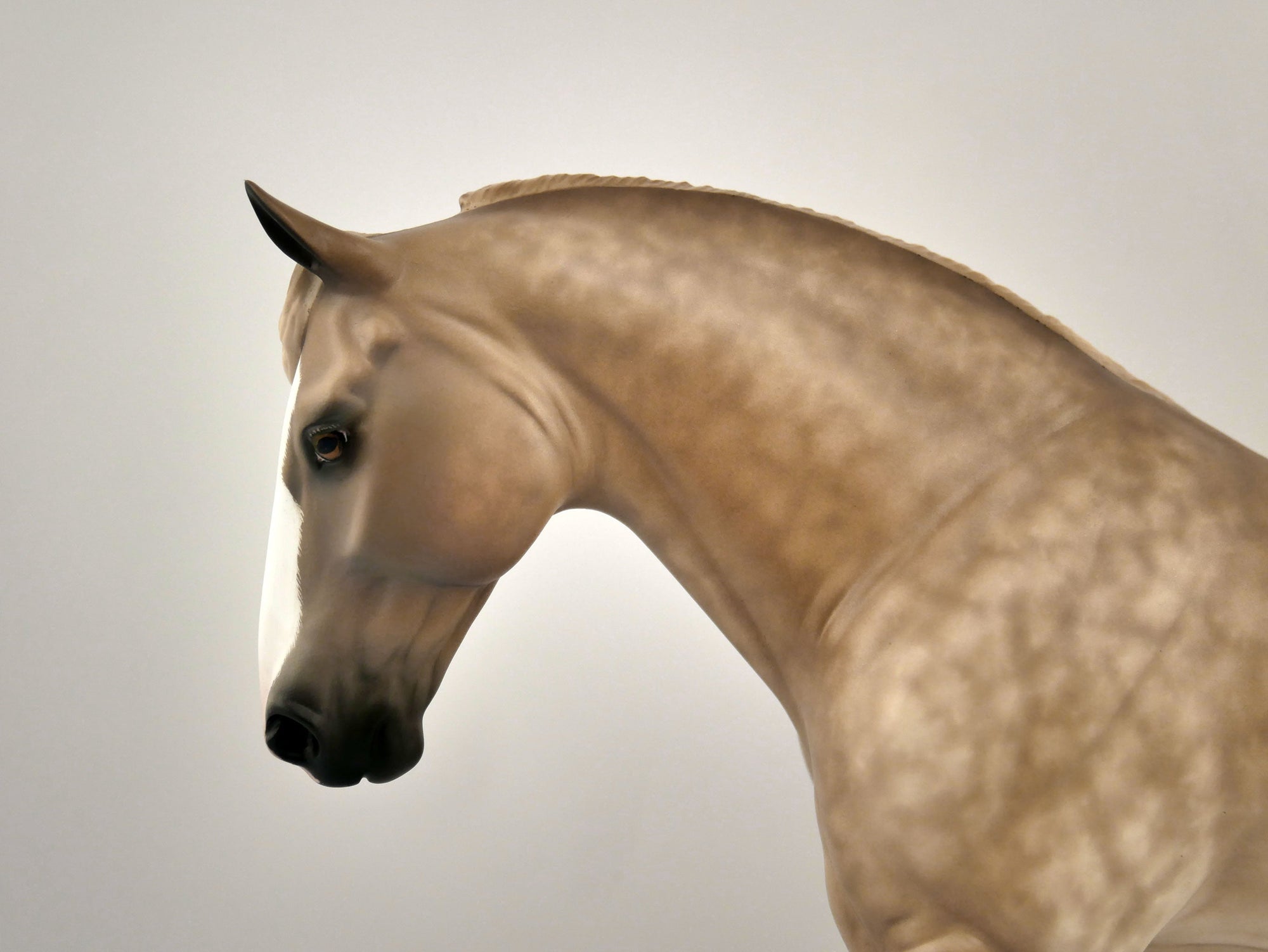 FIELDING-OOAK DAPPLE SORREL IRISH DRAFT BY SHERYL LEISURE 11/11/20