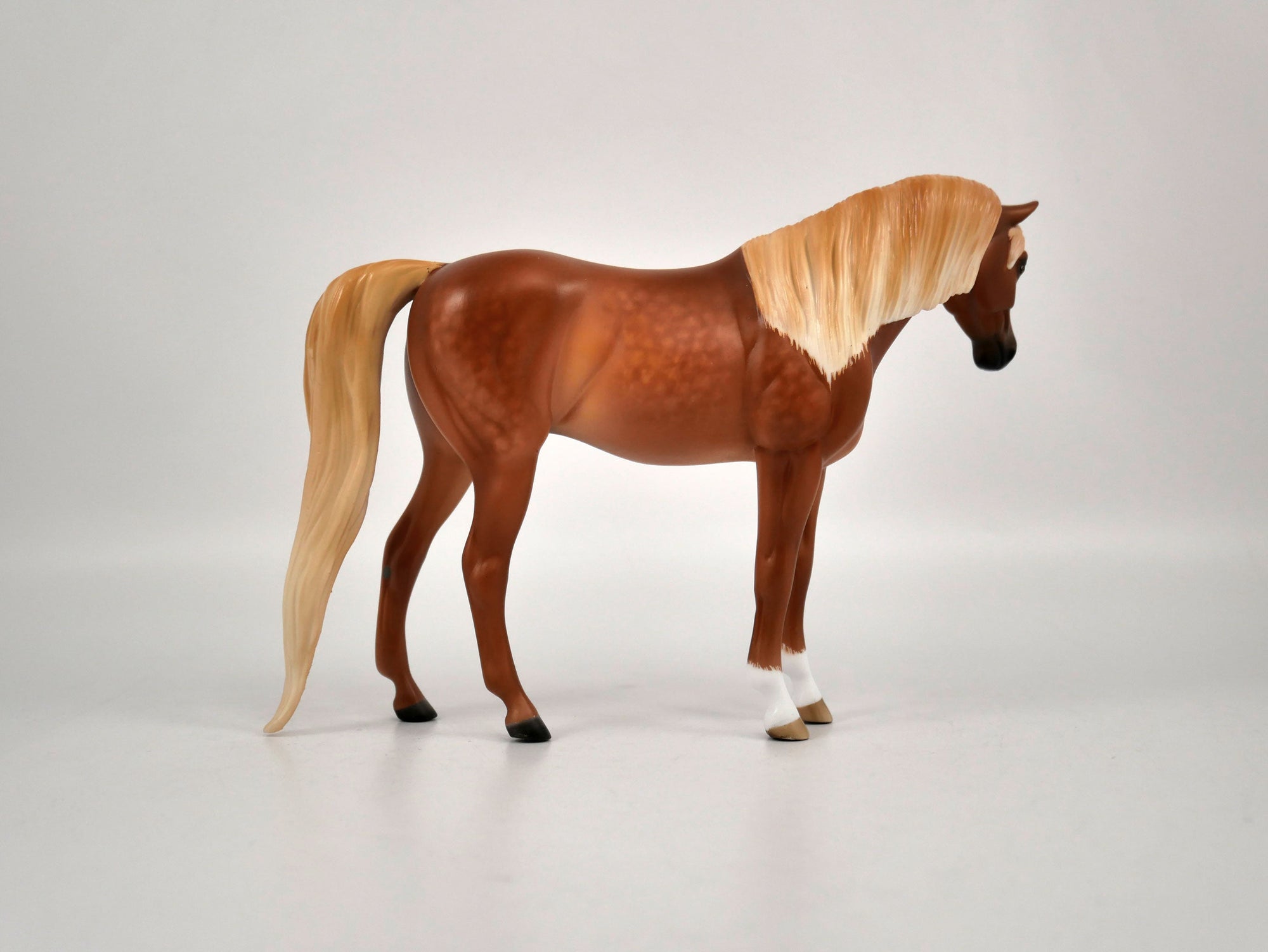 Figgy Pudding-Dapple Chestnut Arabian Pebbles Painted By Sheryl Leisure 12/24/20