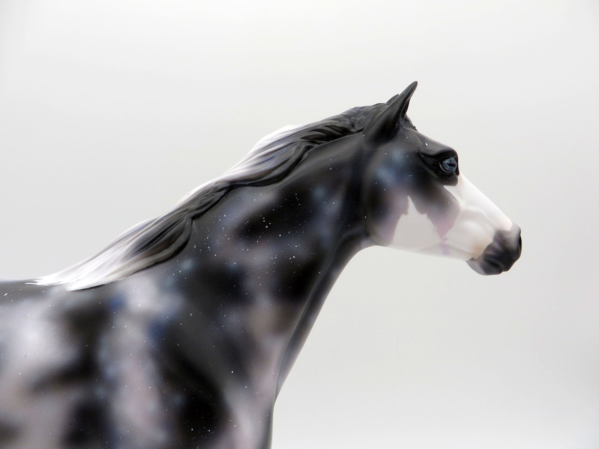 Final Frontier-OOAK Mustang Deco Painted by Ellen Robbins 7/30/21