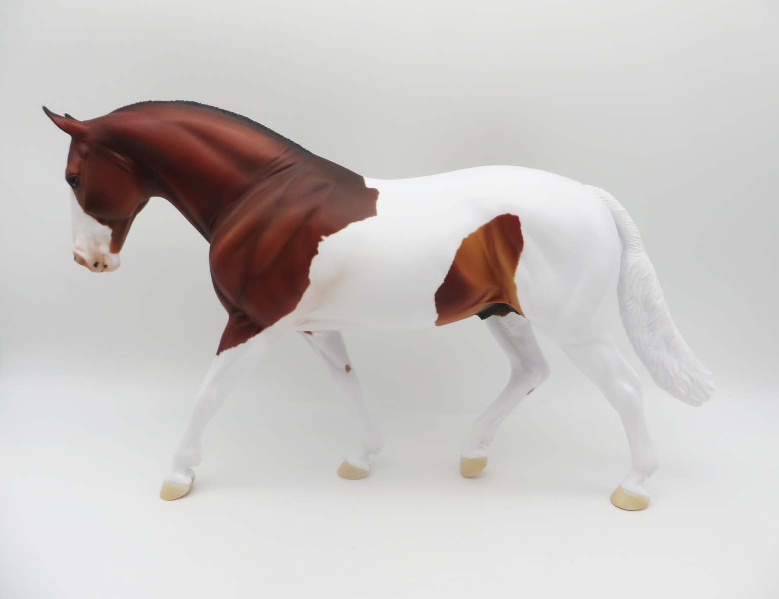 Finicky-OOAK Bay Paint Irish Draft P&C 23