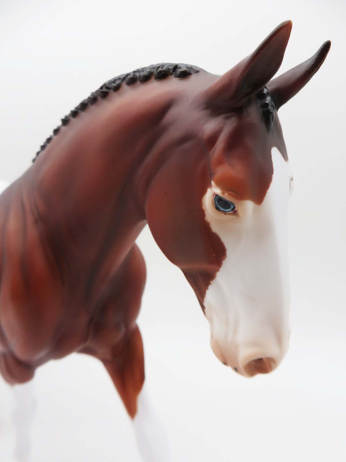 Finicky-OOAK Bay Paint Irish Draft P&C 23