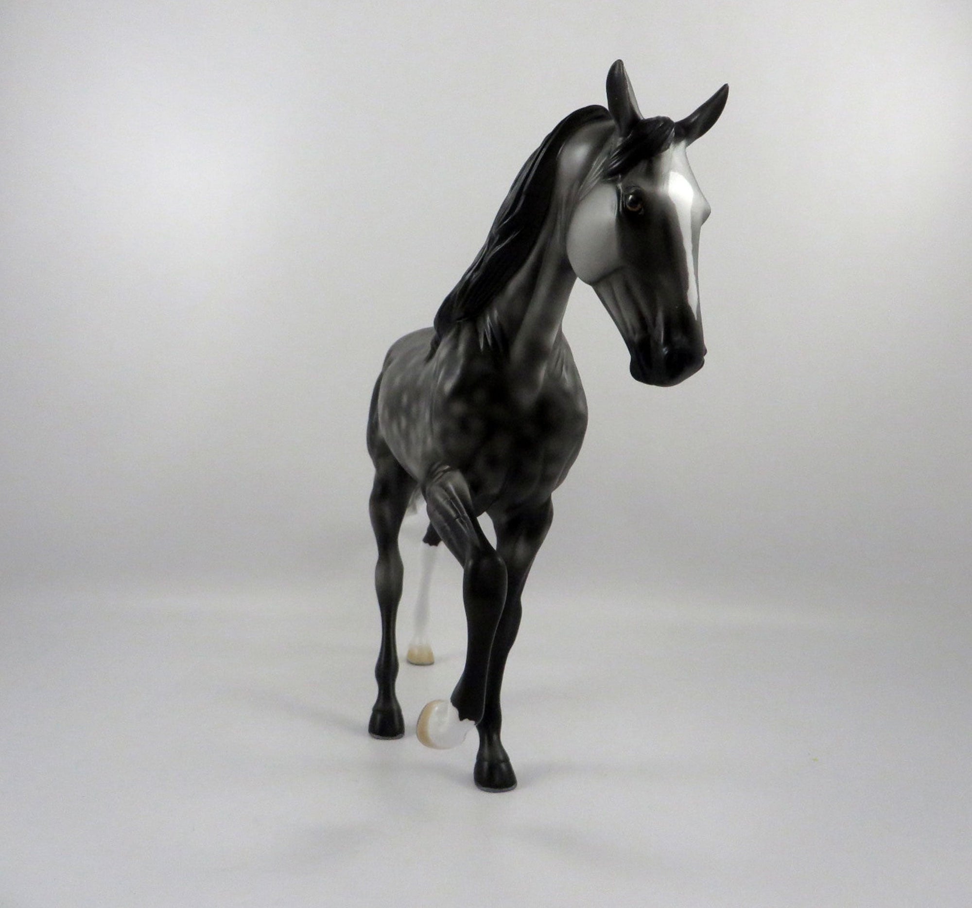 Finnegan-OOAK Dapple Grey Tennessee Walker 2/25/21