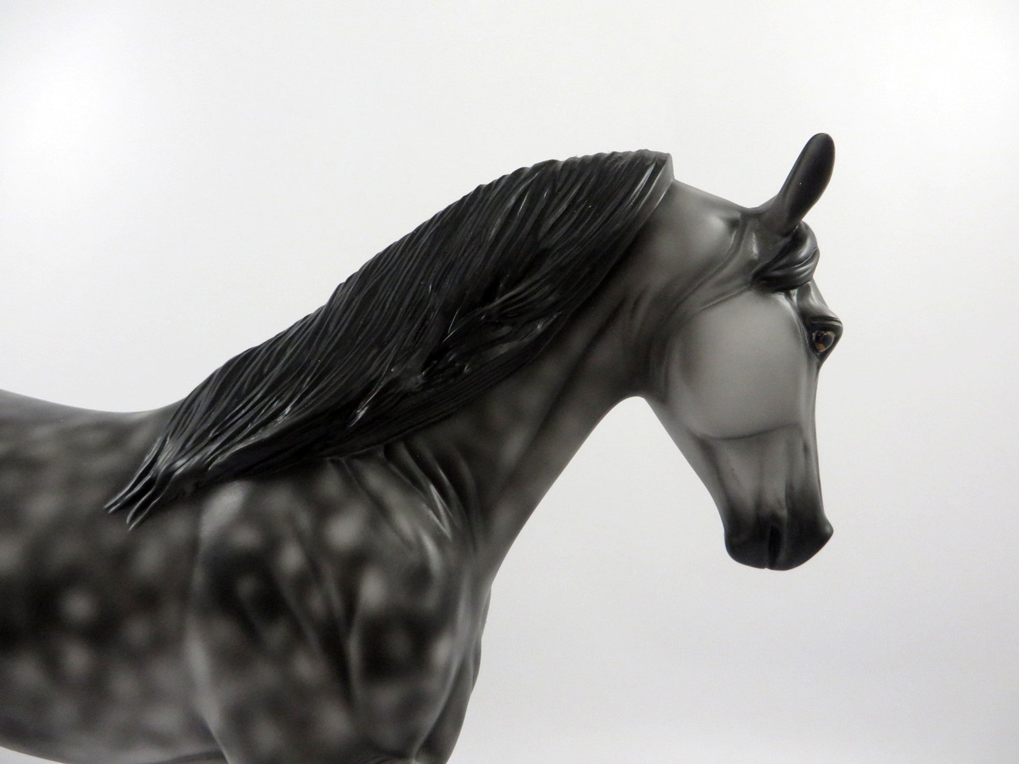 Finnegan-OOAK Dapple Grey Tennessee Walker 2/25/21