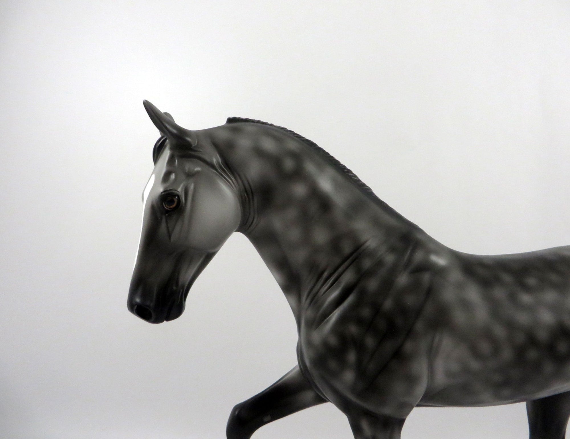 Finnegan-OOAK Dapple Grey Tennessee Walker 2/25/21