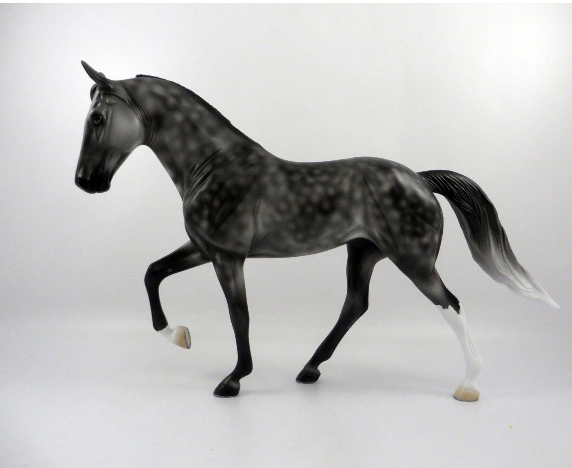 Finnegan-OOAK Dapple Grey Tennessee Walker 2/25/21