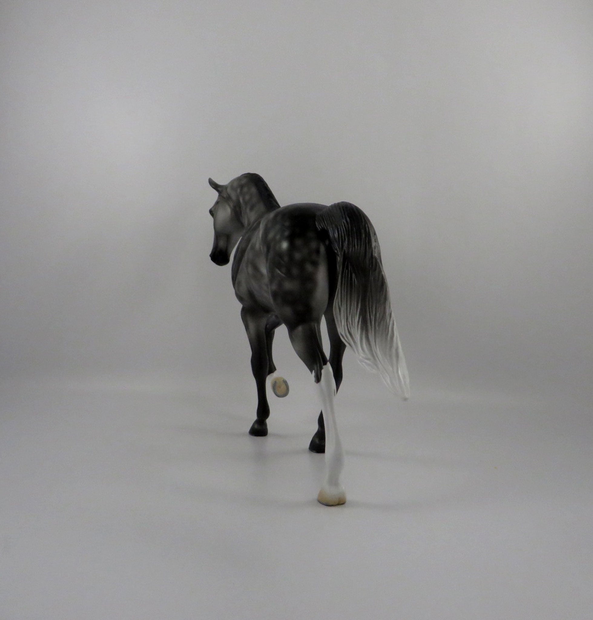 Finnegan-OOAK Dapple Grey Tennessee Walker 2/25/21