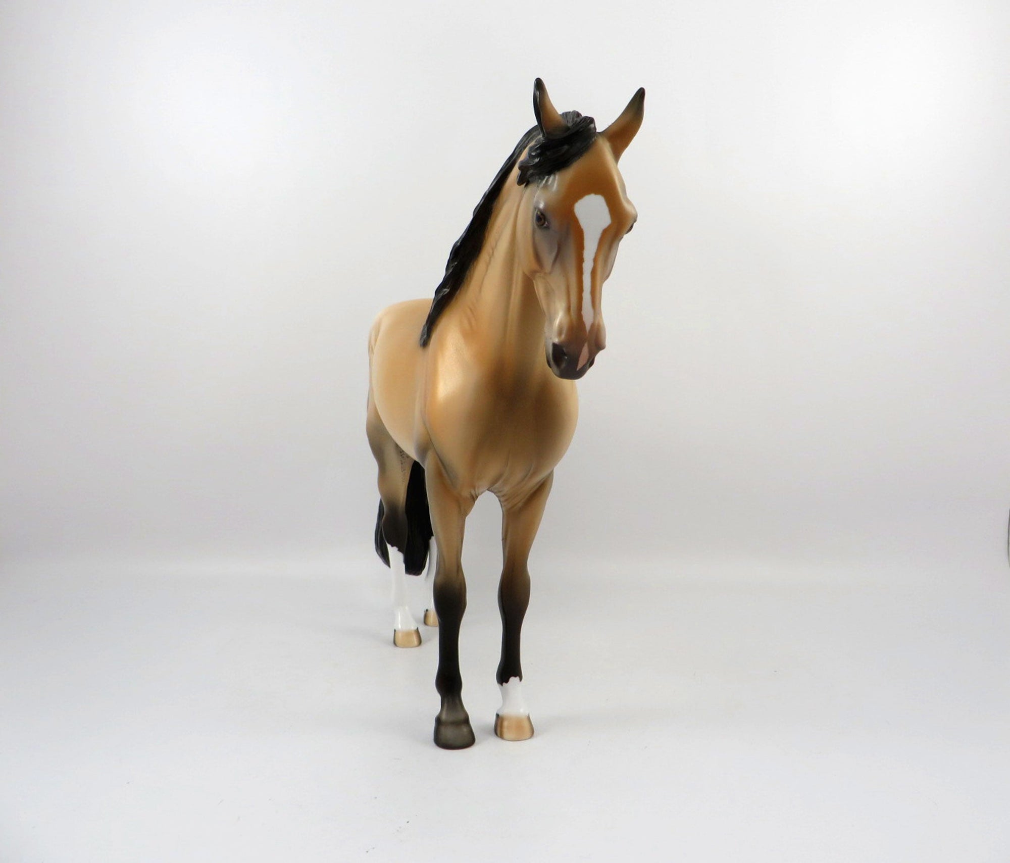 Fionn-OOAK Buckskin Andalusian Painted By Dawn Quick 4/13/21