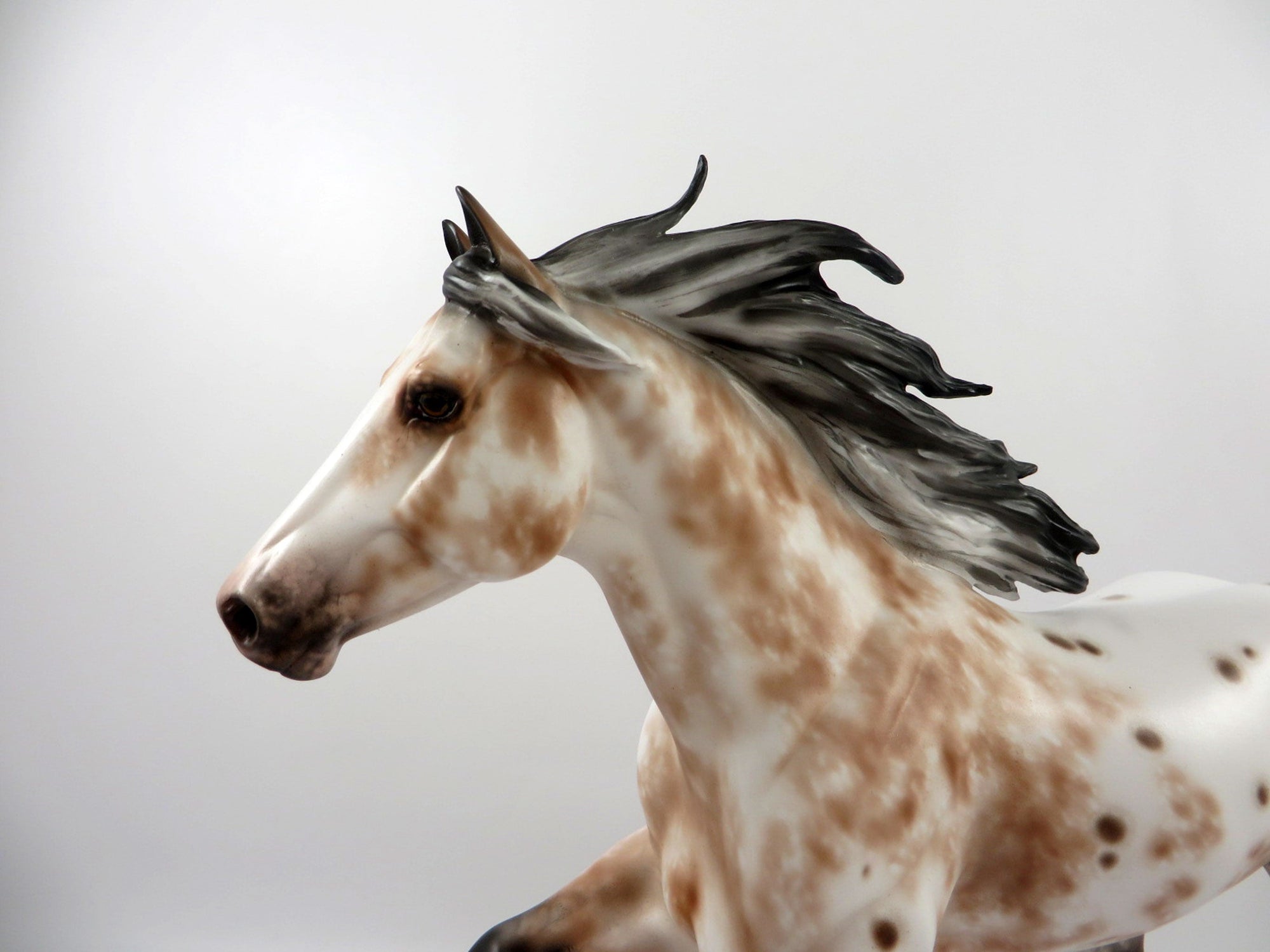 Fireonic-OOAK Bay Appaloosa Foundation Quarter Horse Painted By Sheryl Leisure