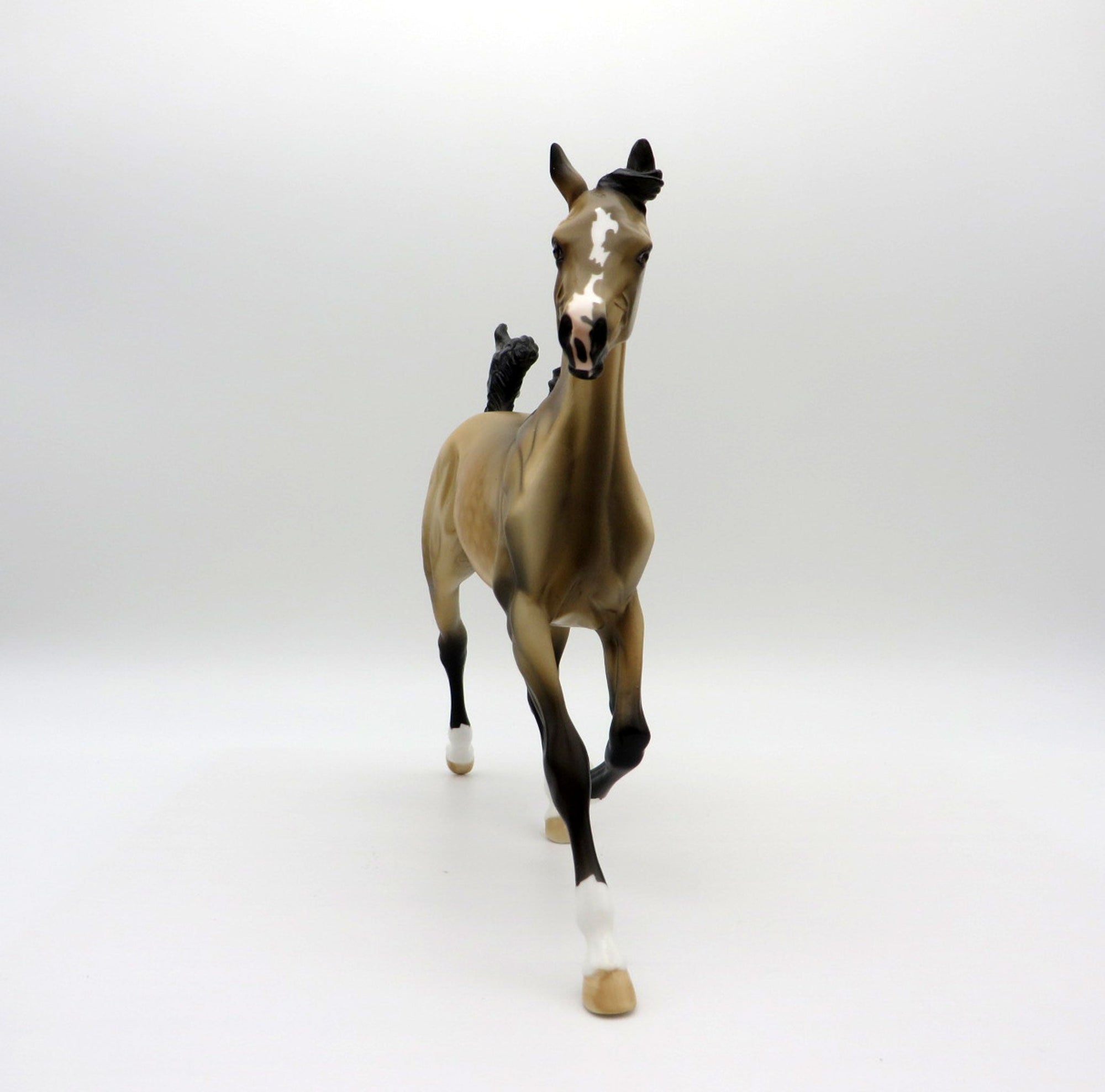 First Amendment | Dapple Buckskin Arab Yearling by Dawn Quick | 7/1/21