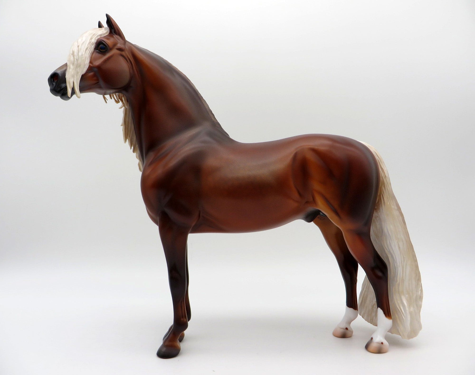 Fitz Roy-OOAK Silver Bay Morgan Painted By Caroline Boydston 6/28/21