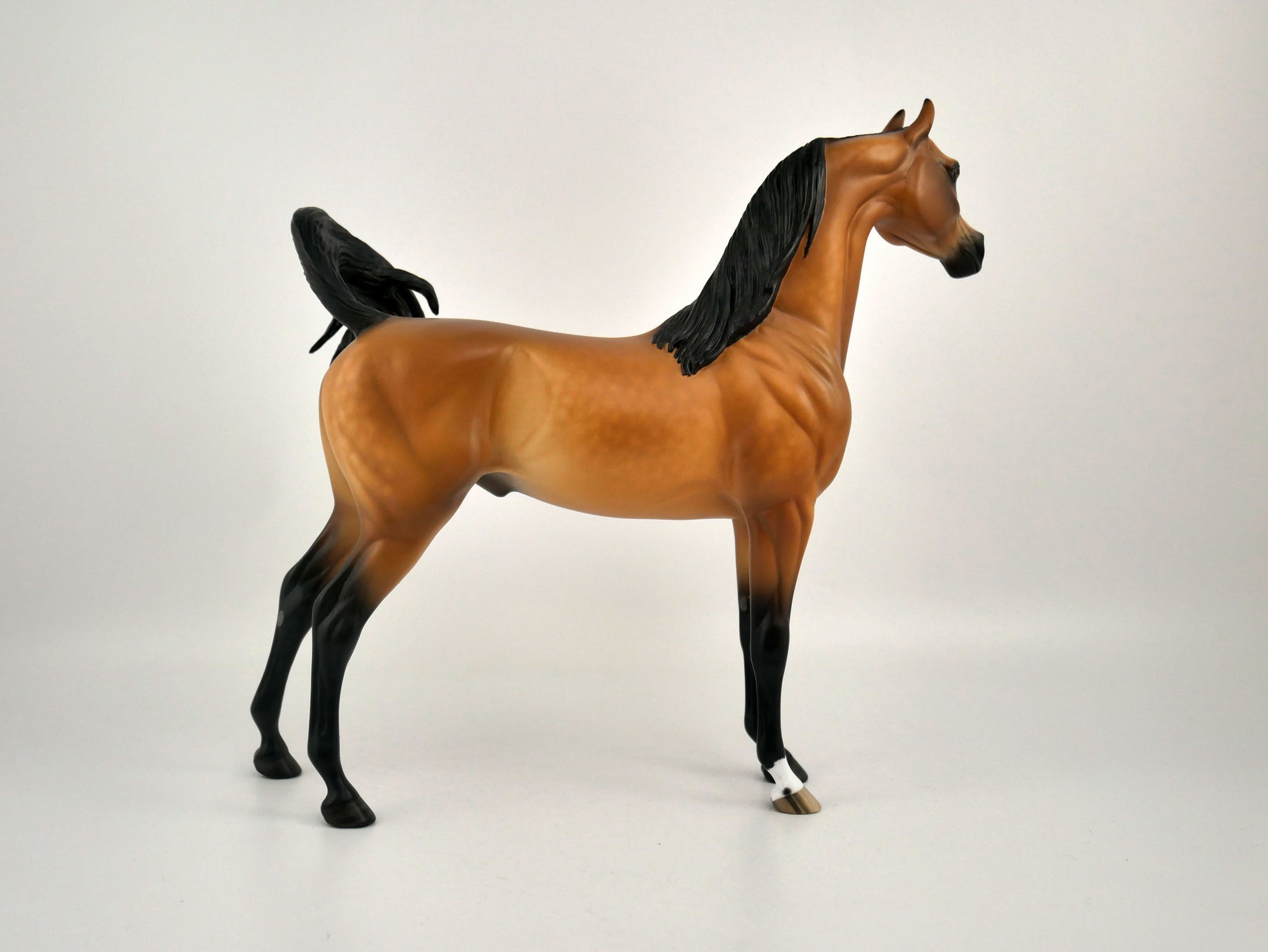 FITZGERALD-OOAK DAPPLE BAY ARABIAN BY SHERYL LEISURE 11/11/20