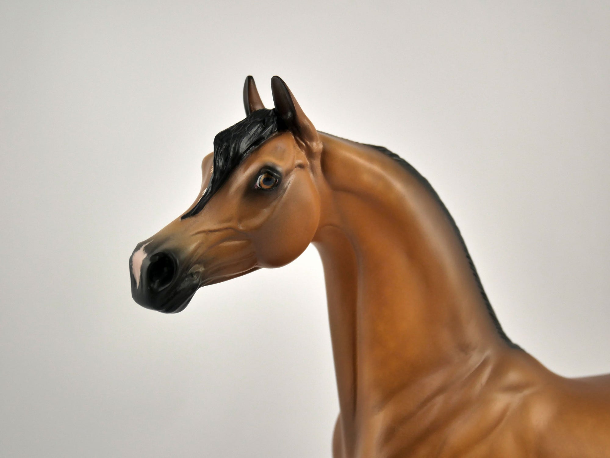 FITZGERALD-OOAK DAPPLE BAY ARABIAN BY SHERYL LEISURE 11/11/20