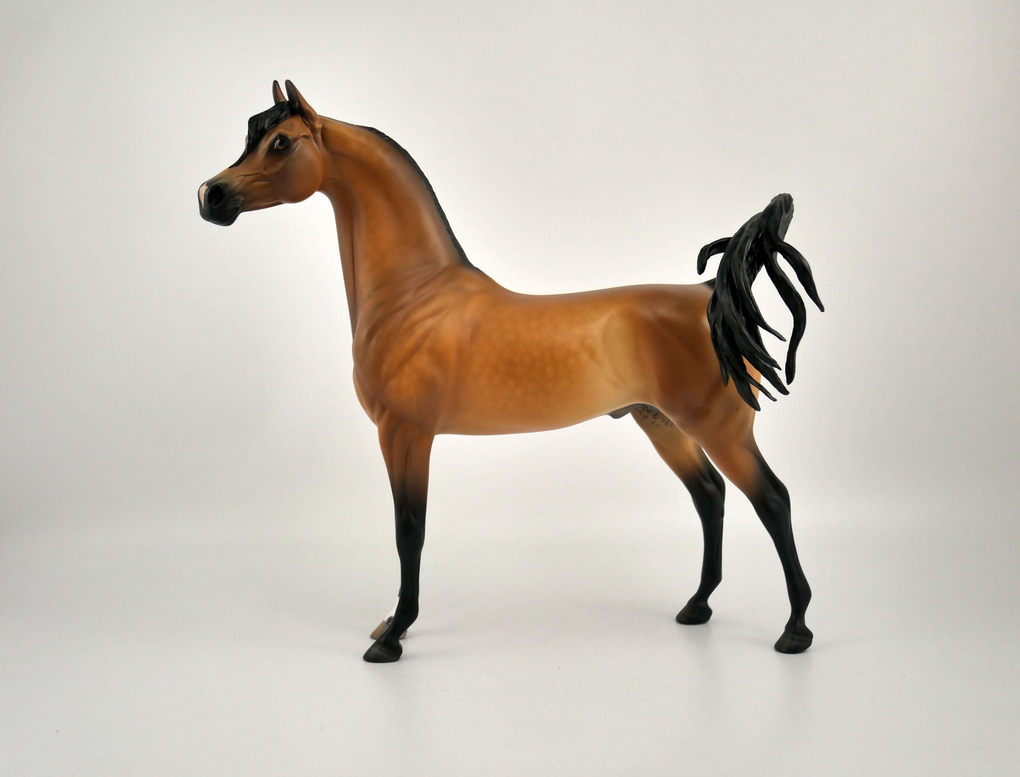 FITZGERALD-OOAK DAPPLE BAY ARABIAN BY SHERYL LEISURE 11/11/20