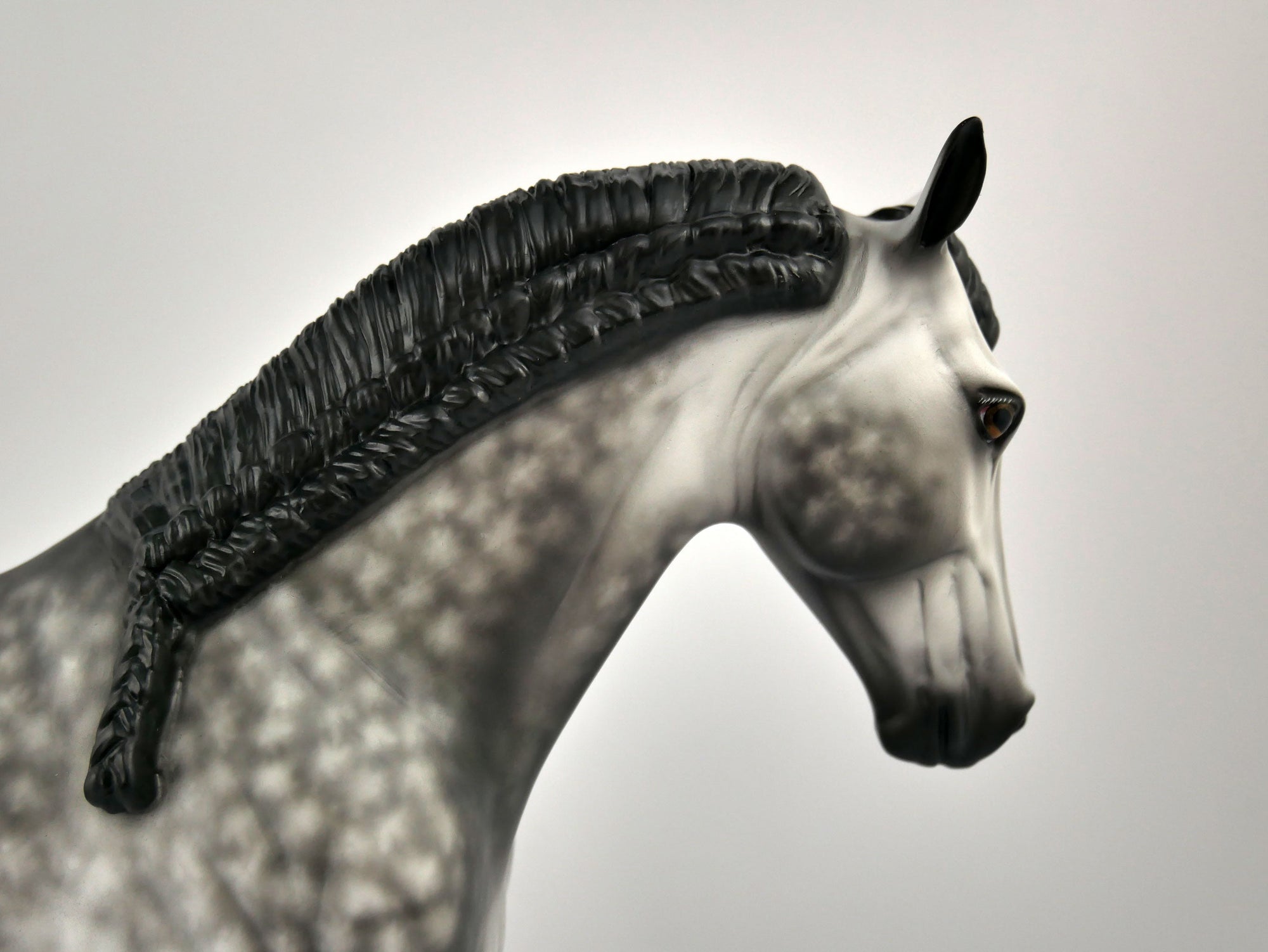 FLORIAN-OOAK DAPPLE GREY TWH BY SHERYL LEISURE 12/03/20