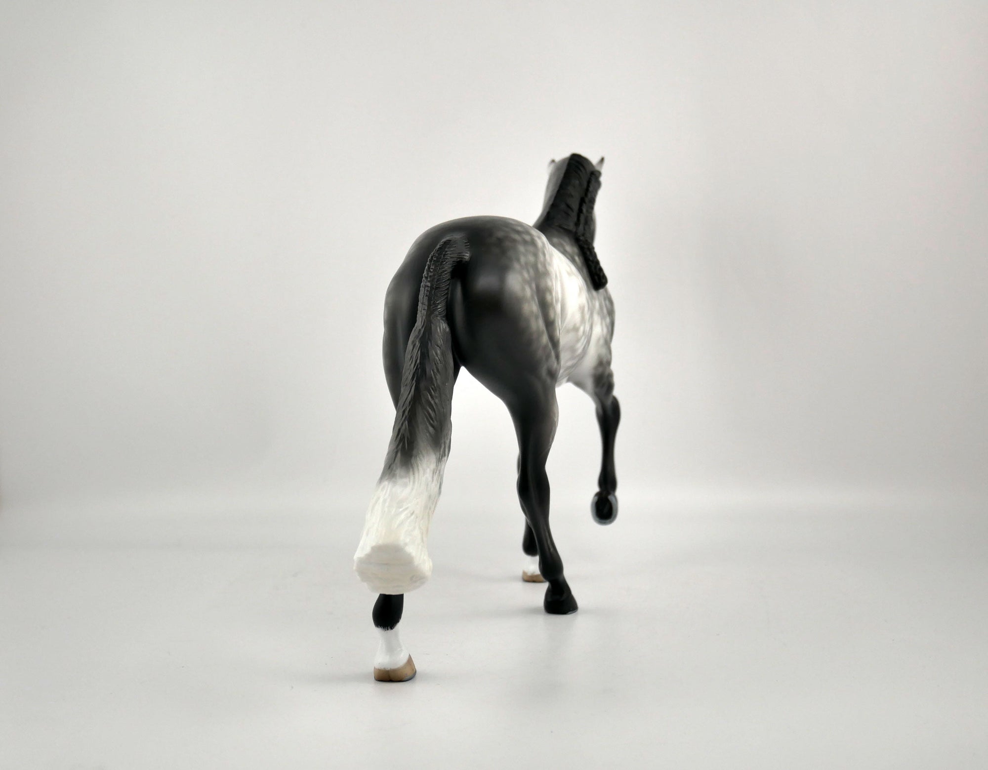 FLORIAN-OOAK DAPPLE GREY TWH BY SHERYL LEISURE 12/03/20