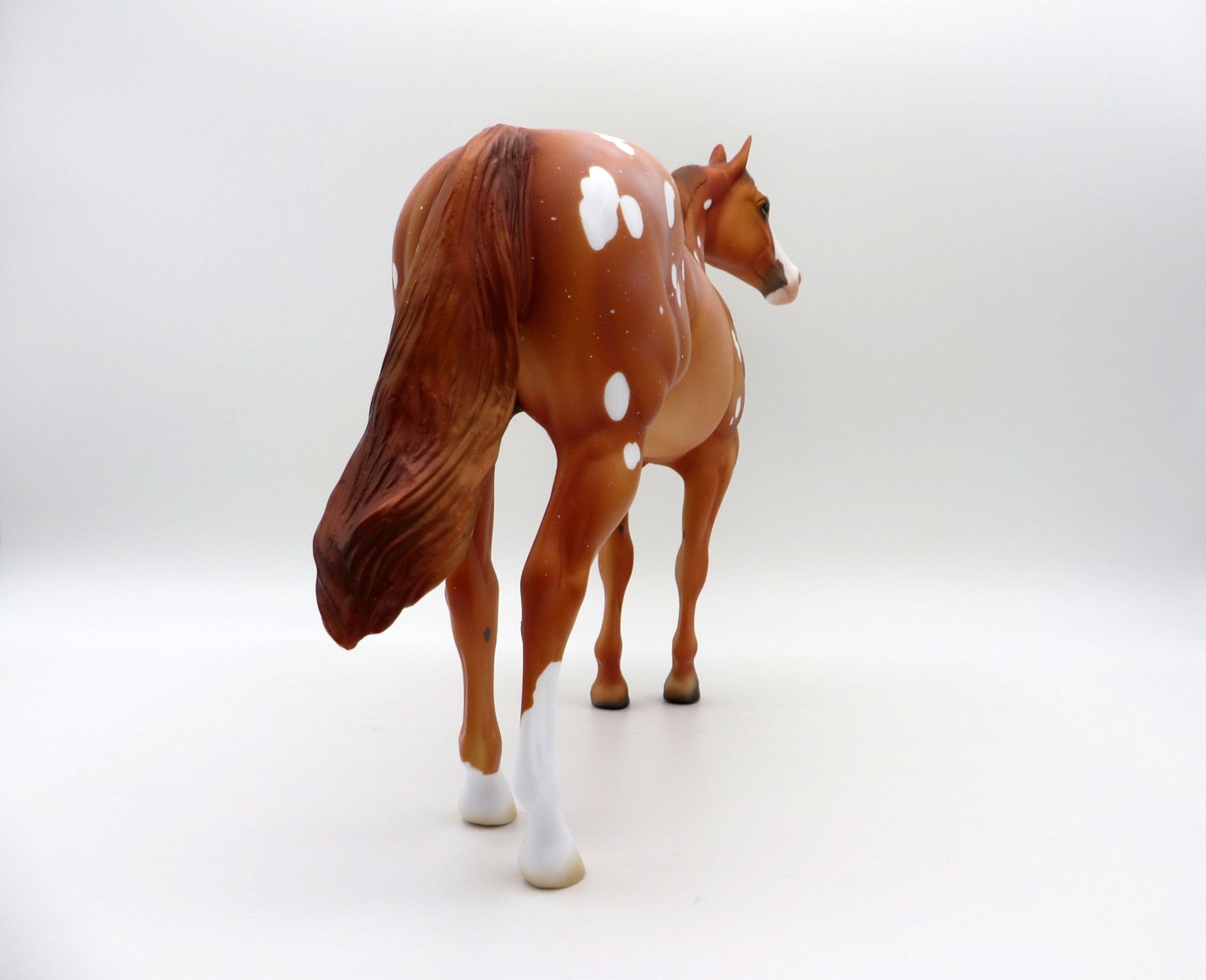 Flurry Snowflake Appaloosa ISH SHCF 2021