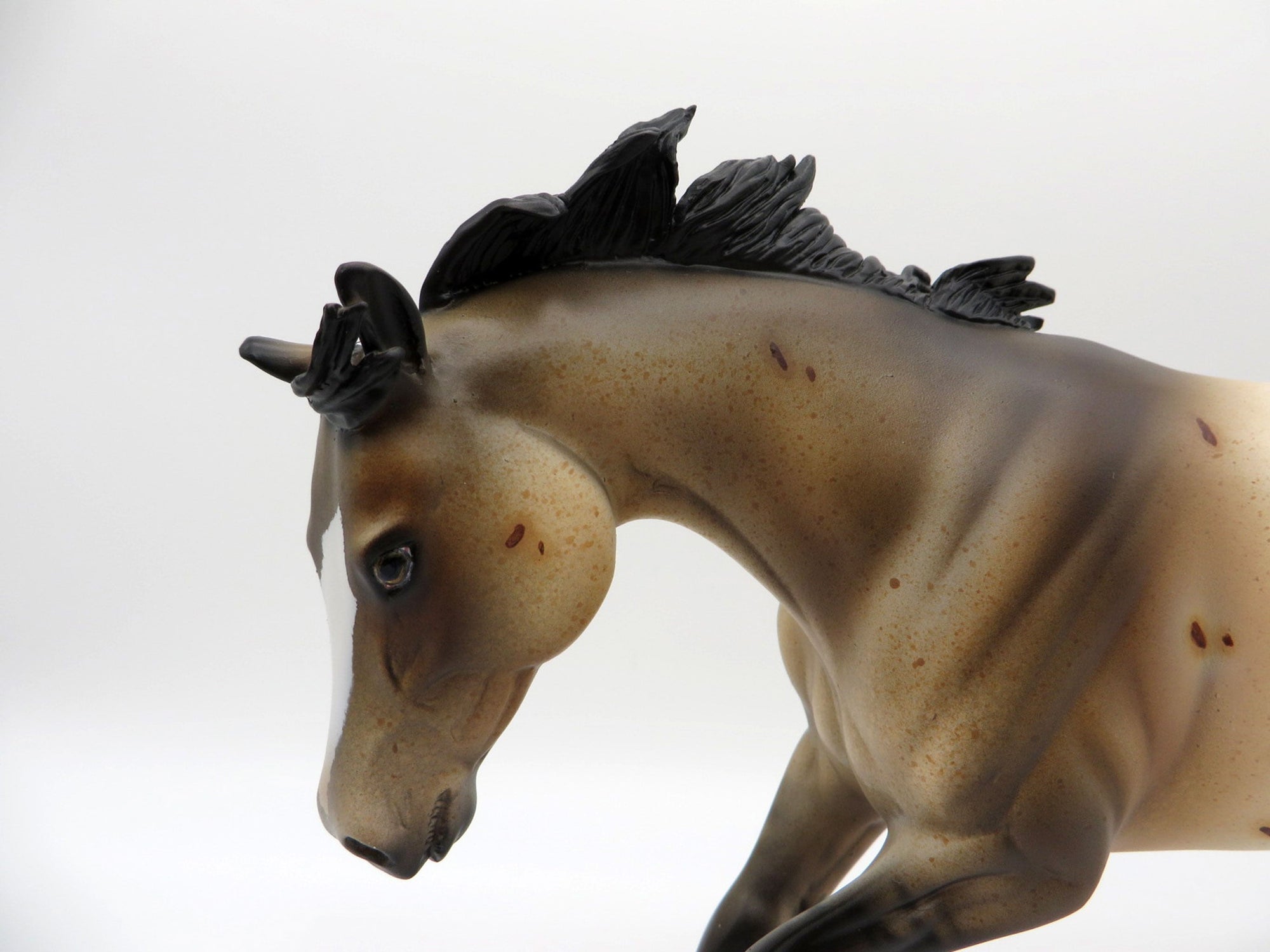 Forge-OOAK Buckskin Appaloosa Performance Horse Equilocity 2021 Painted by Julie Keim