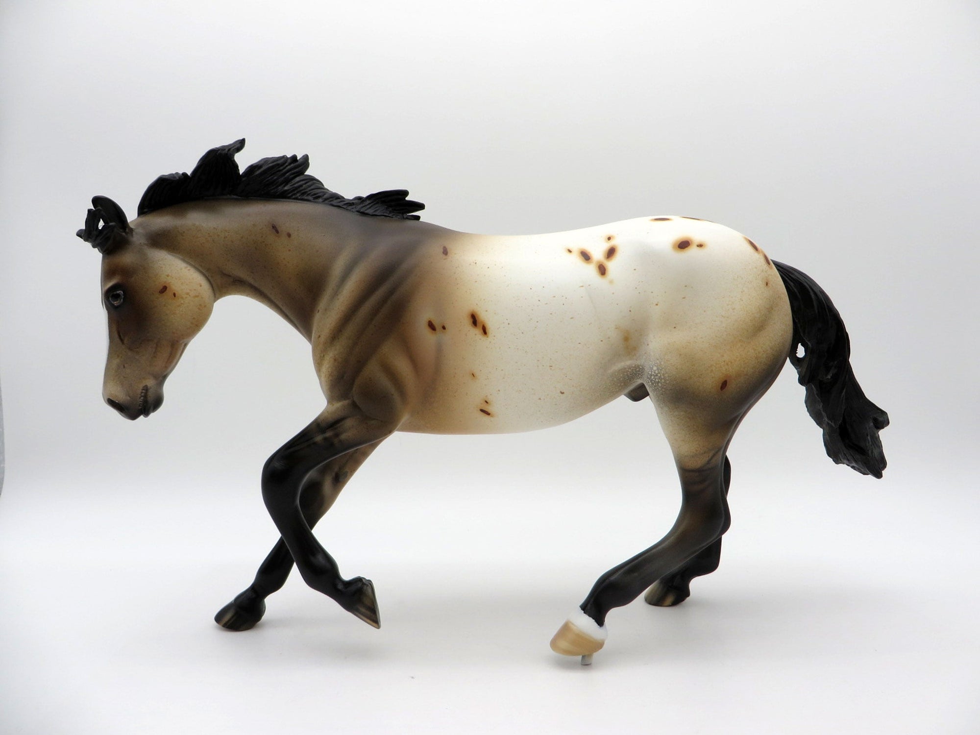 Forge-OOAK Buckskin Appaloosa Performance Horse Equilocity 2021 Painted by Julie Keim