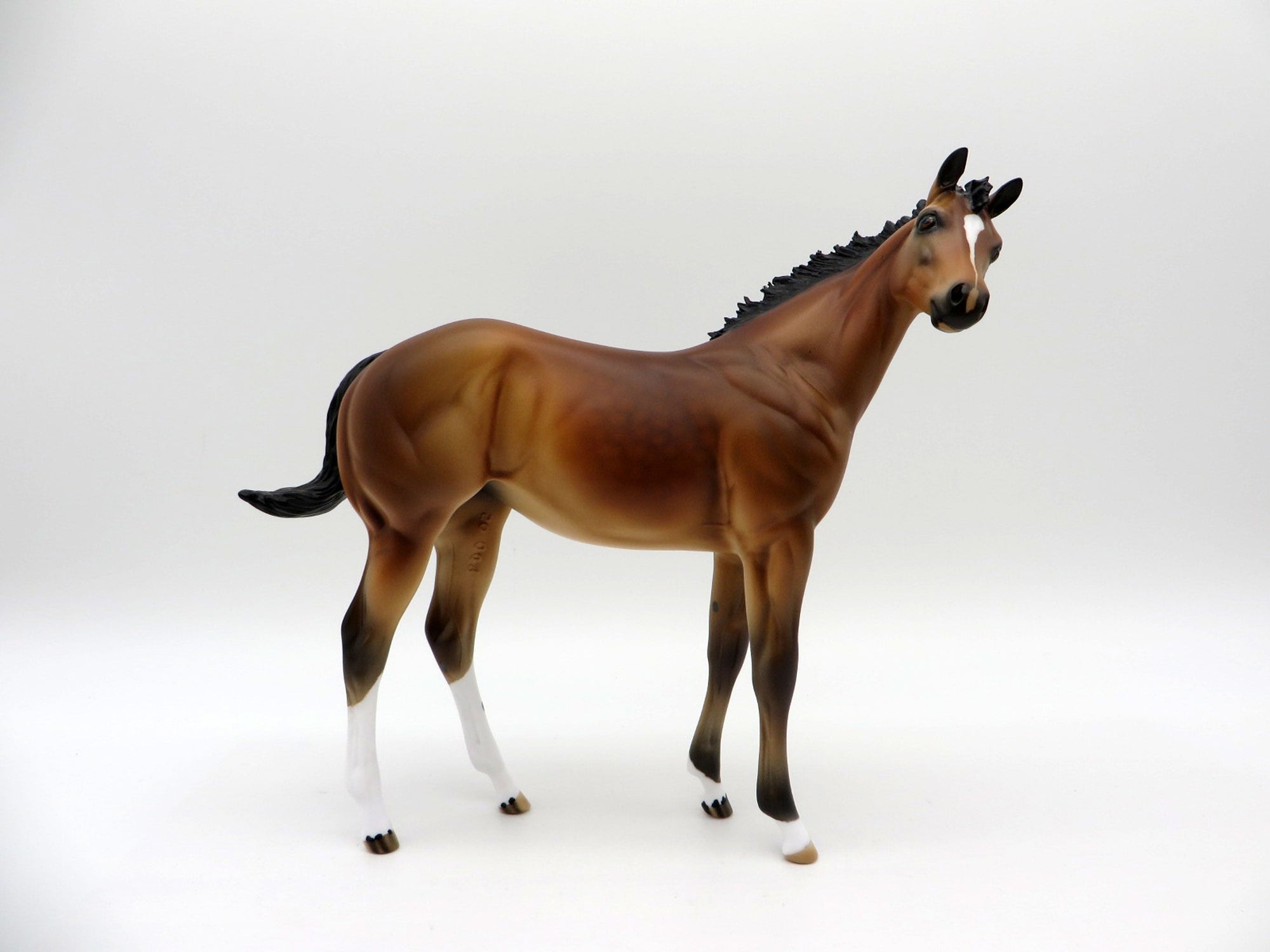 Francisco-OOAK Bay Weanling Equilocity 2021 Painted by Audrey Dixon