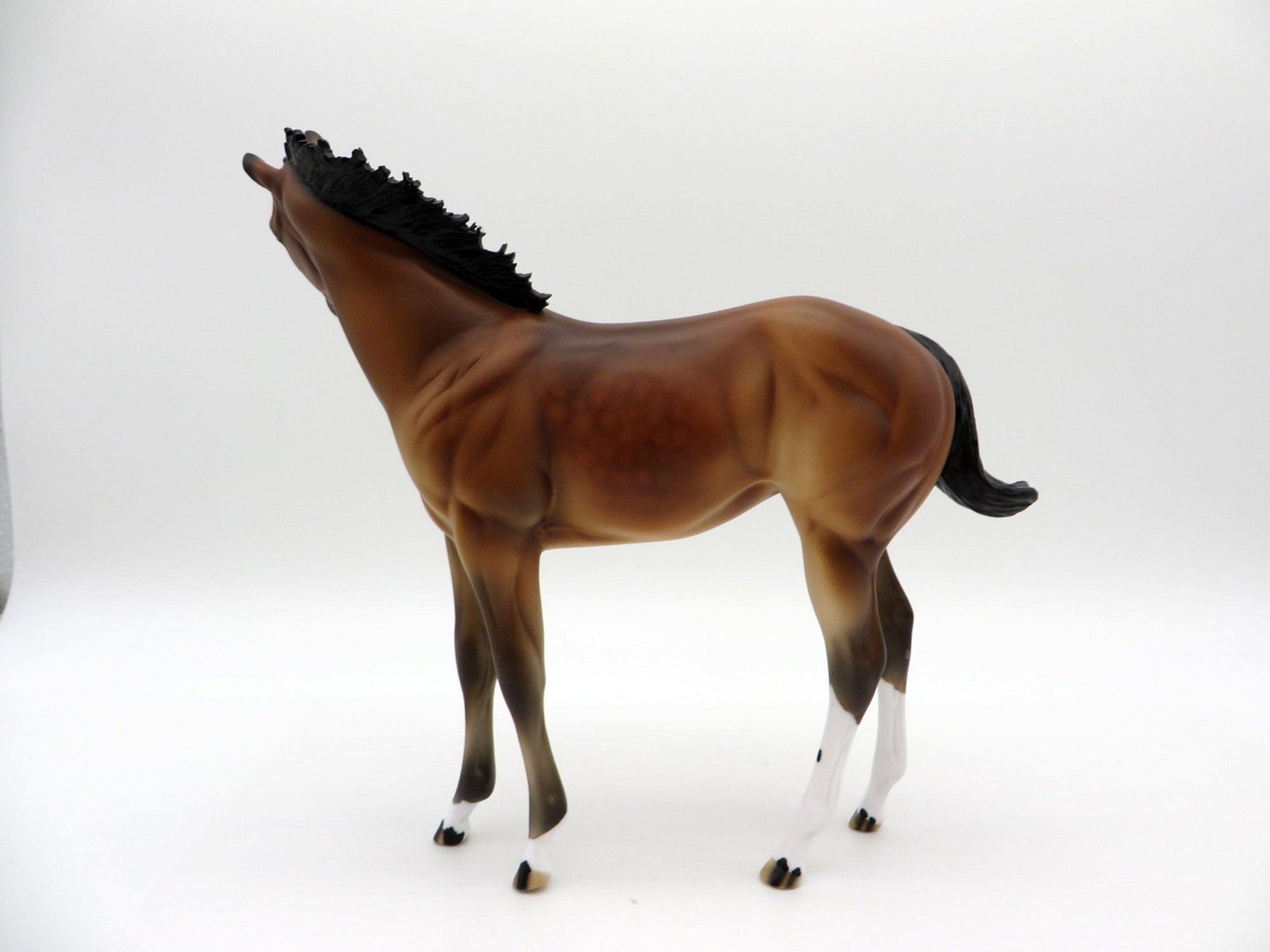 Francisco-OOAK Bay Weanling Equilocity 2021 Painted by Audrey Dixon