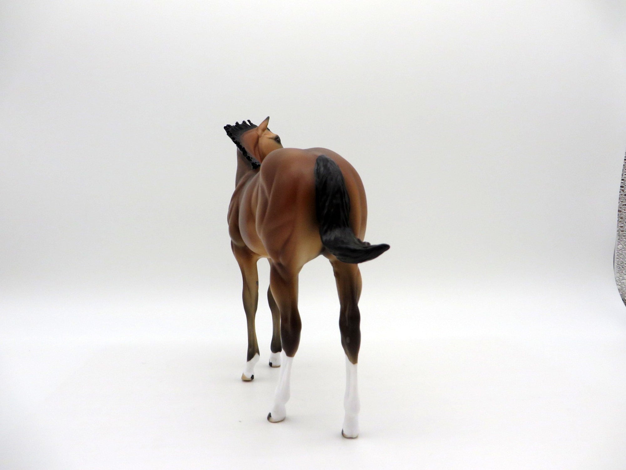 Francisco-OOAK Bay Weanling Equilocity 2021 Painted by Audrey Dixon