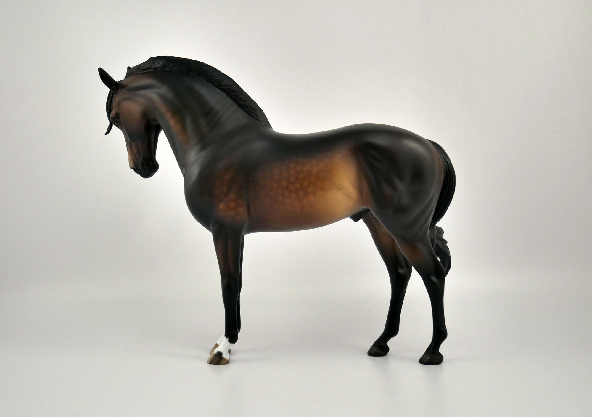 FREDERICO-OOAK DAPPLE BAY ANDY BY SHERYL LEISURE 11/11/20