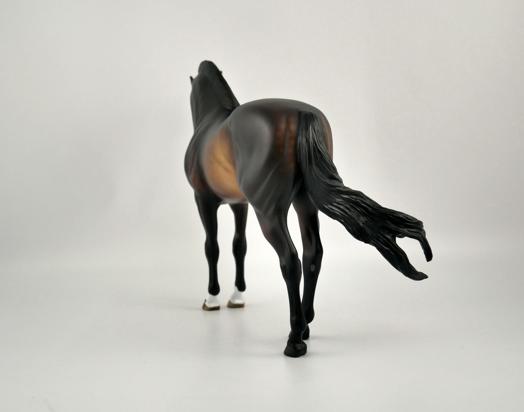 FREDERICO-OOAK DAPPLE BAY ANDY BY SHERYL LEISURE 11/11/20